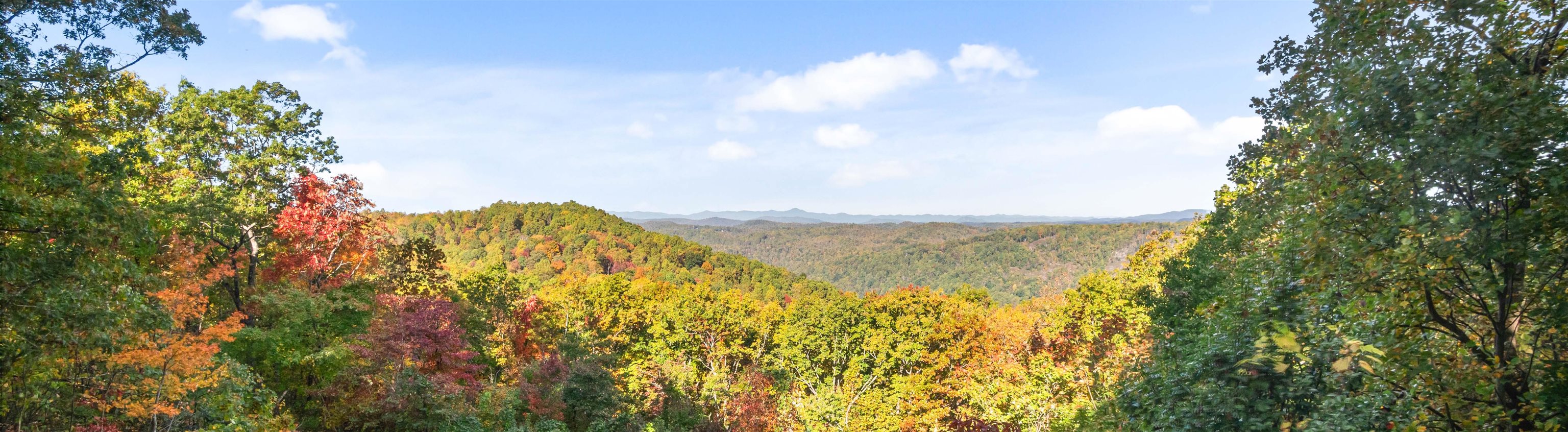 Homes for sale in Tryon, NC | 25 Little Falls Dr, Tryon, NC 28782 | MLS# SPN323379