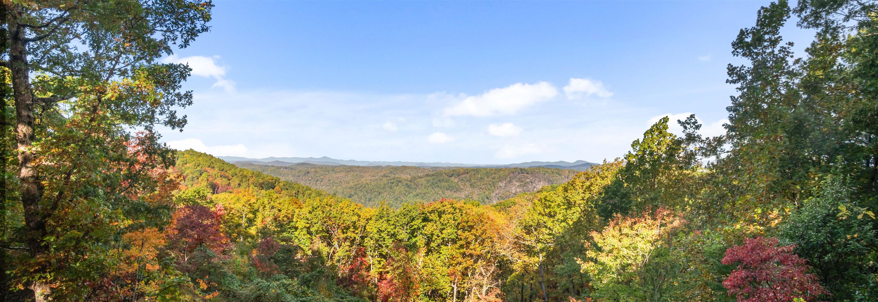 Homes for sale in Tryon, NC | 25 Little Falls Dr, Tryon, NC 28782 | MLS# SPN323379