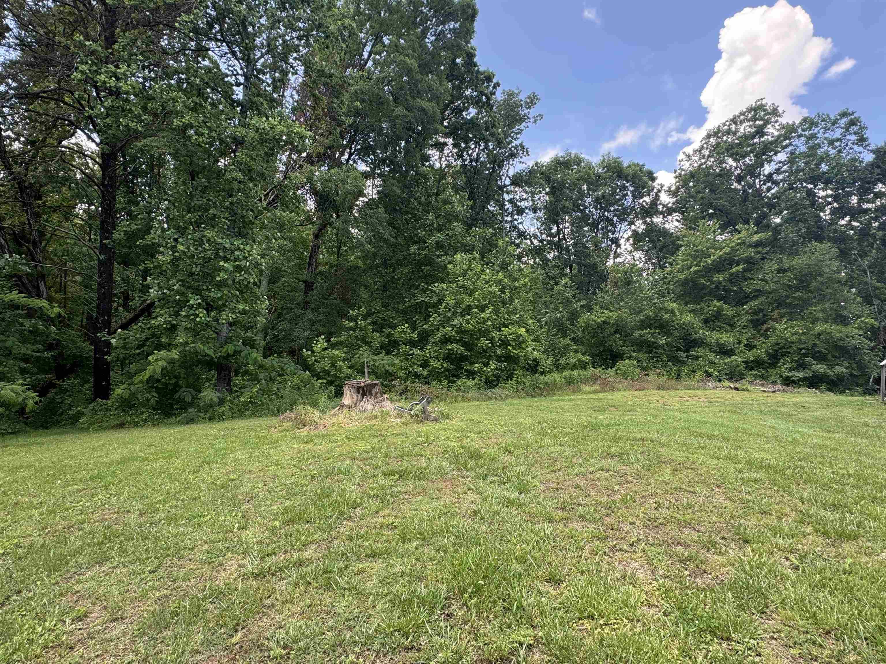 Homes for sale in Blacksburg, SC | 442 Gibbons Rd, Blacksburg, SC 29702 | MLS# SPN324184