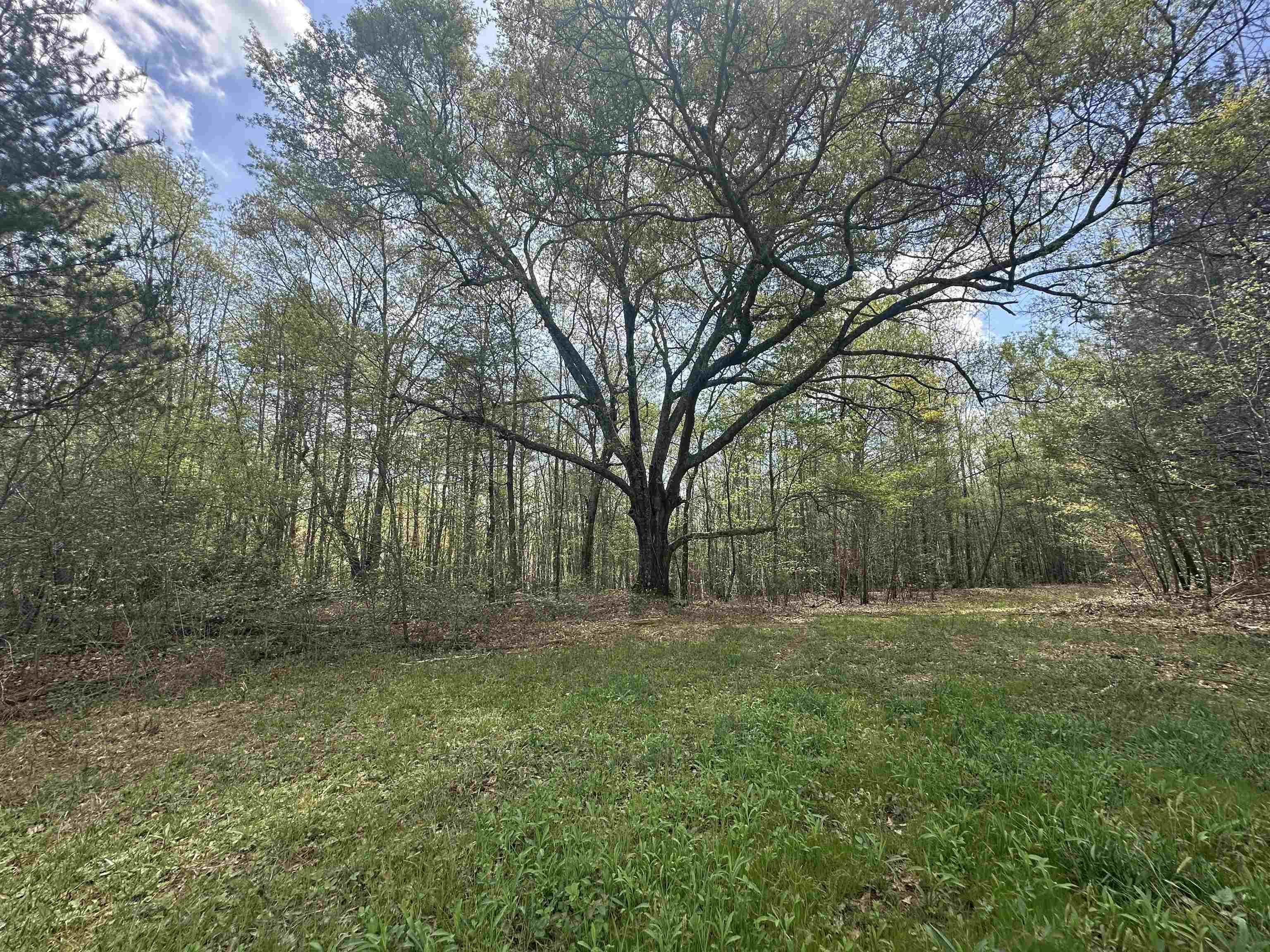 Homes for sale in Chesnee, SC | 390 Old Mill Rd, Chesnee, SC 29323 | MLS# SPN326173