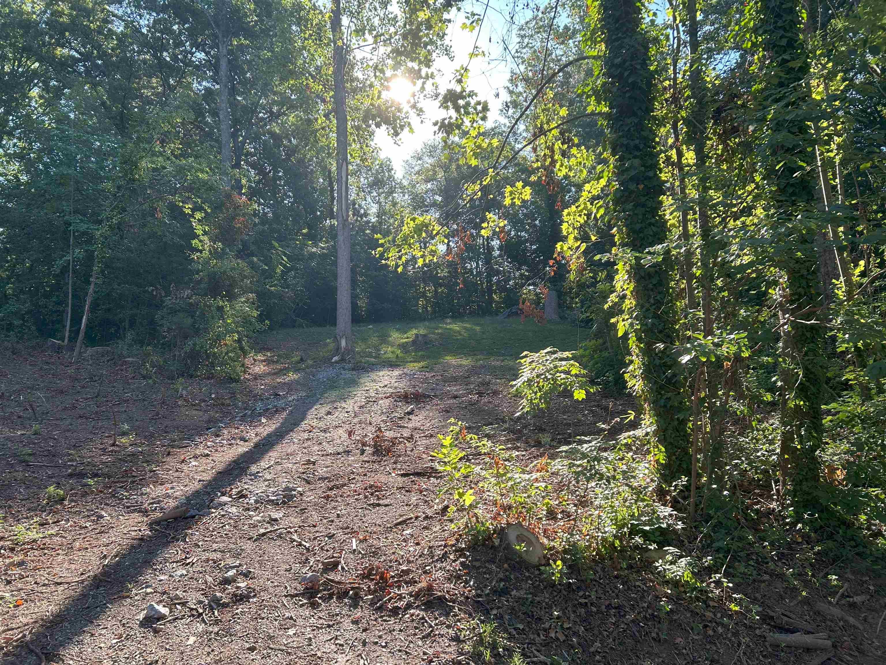 Homes for sale in Inman, SC | 147 Lake Bowen Dr, Inman, SC 29349 | MLS# SPN326881