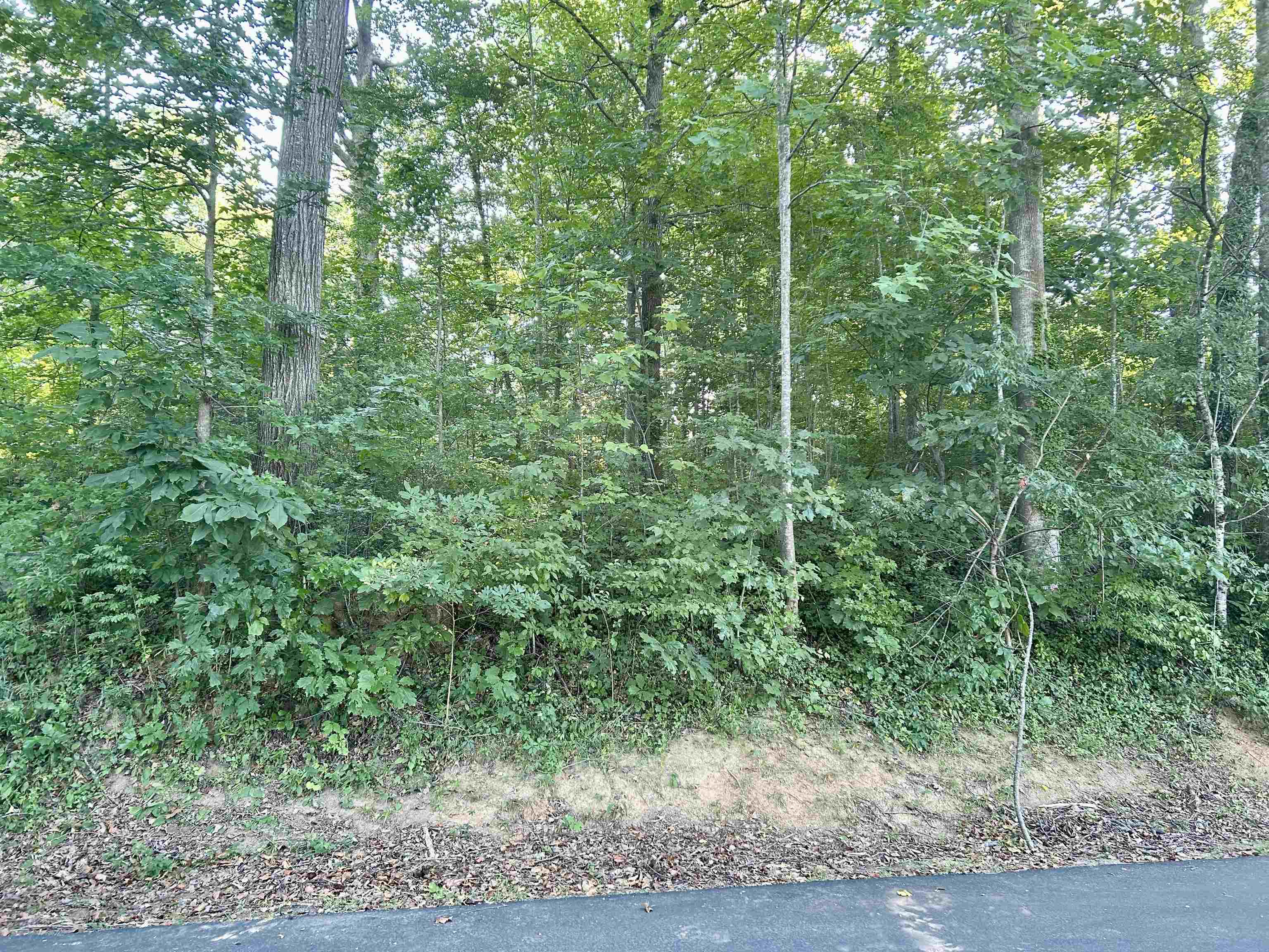 Homes for sale in Inman, SC | 151 Lake Bowen Dr, Inman, SC 29349 | MLS# SPN326882