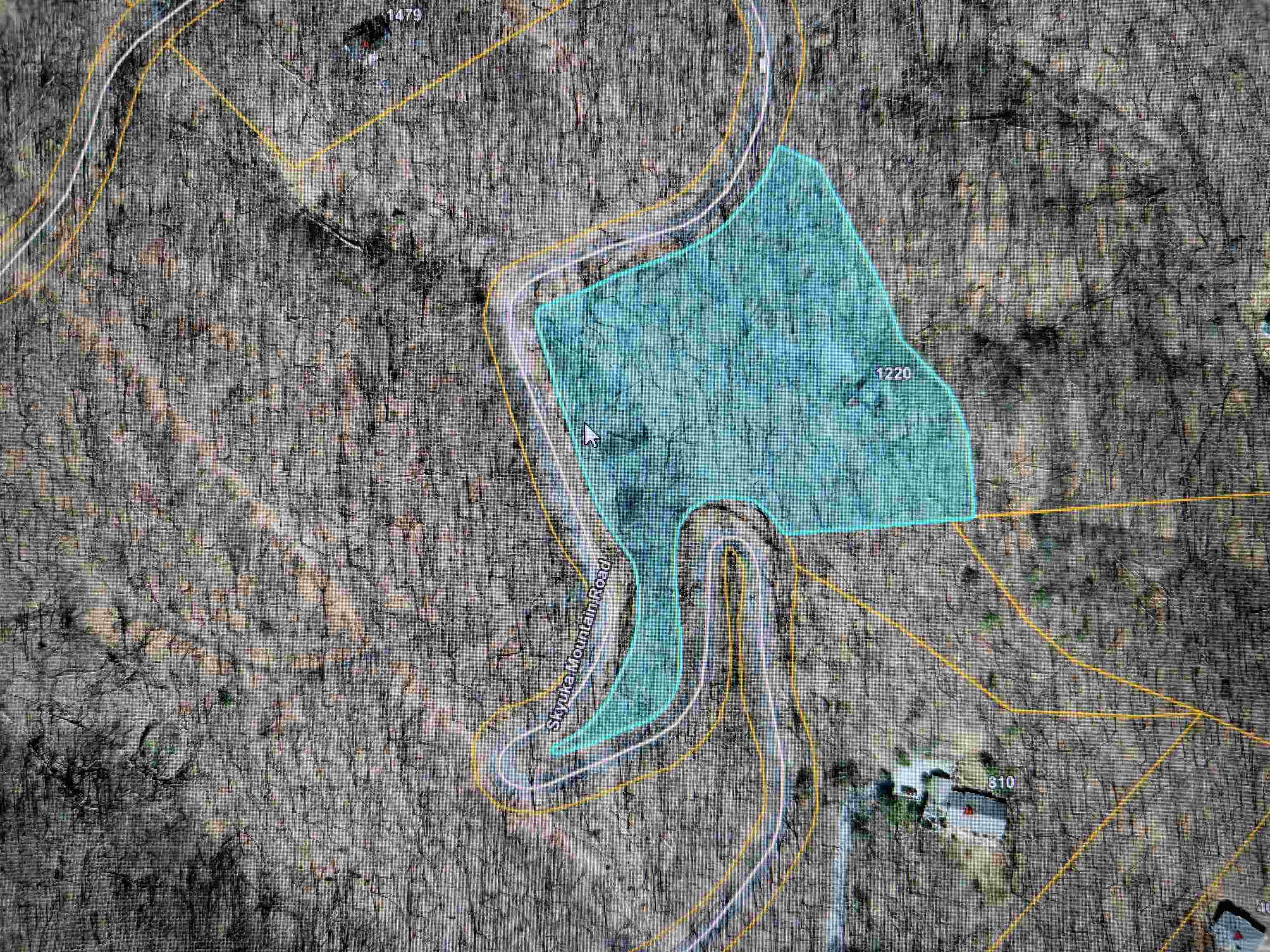 Homes for sale in Columbus, NC | 1220 Skyuka Mountain Rd, Columbus, NC 28722 | MLS# SPN327689