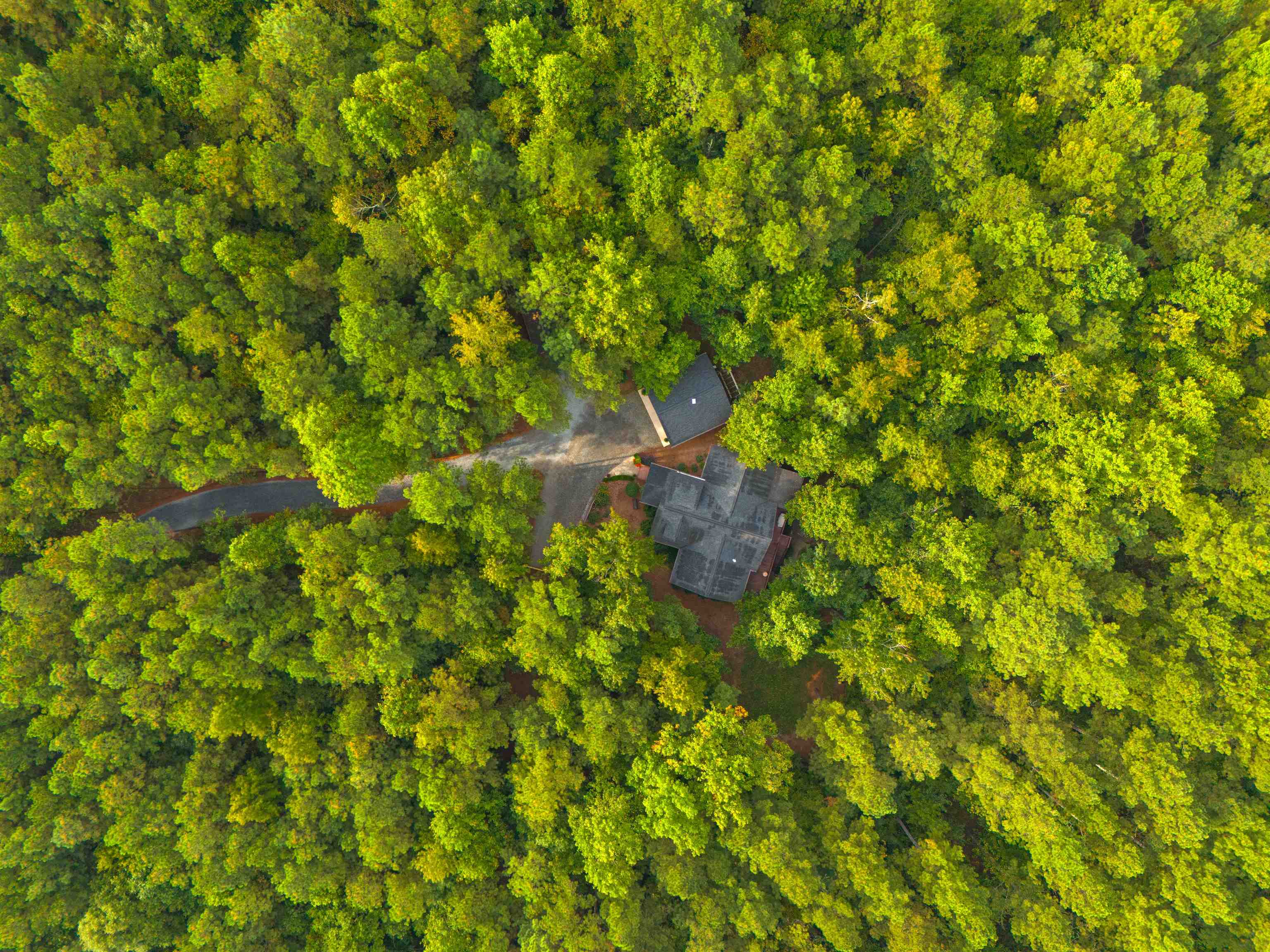 Homes for sale in Columbus, NC | 650 Mcdowell Rd, Columbus, NC 28722 | MLS# SPN329123