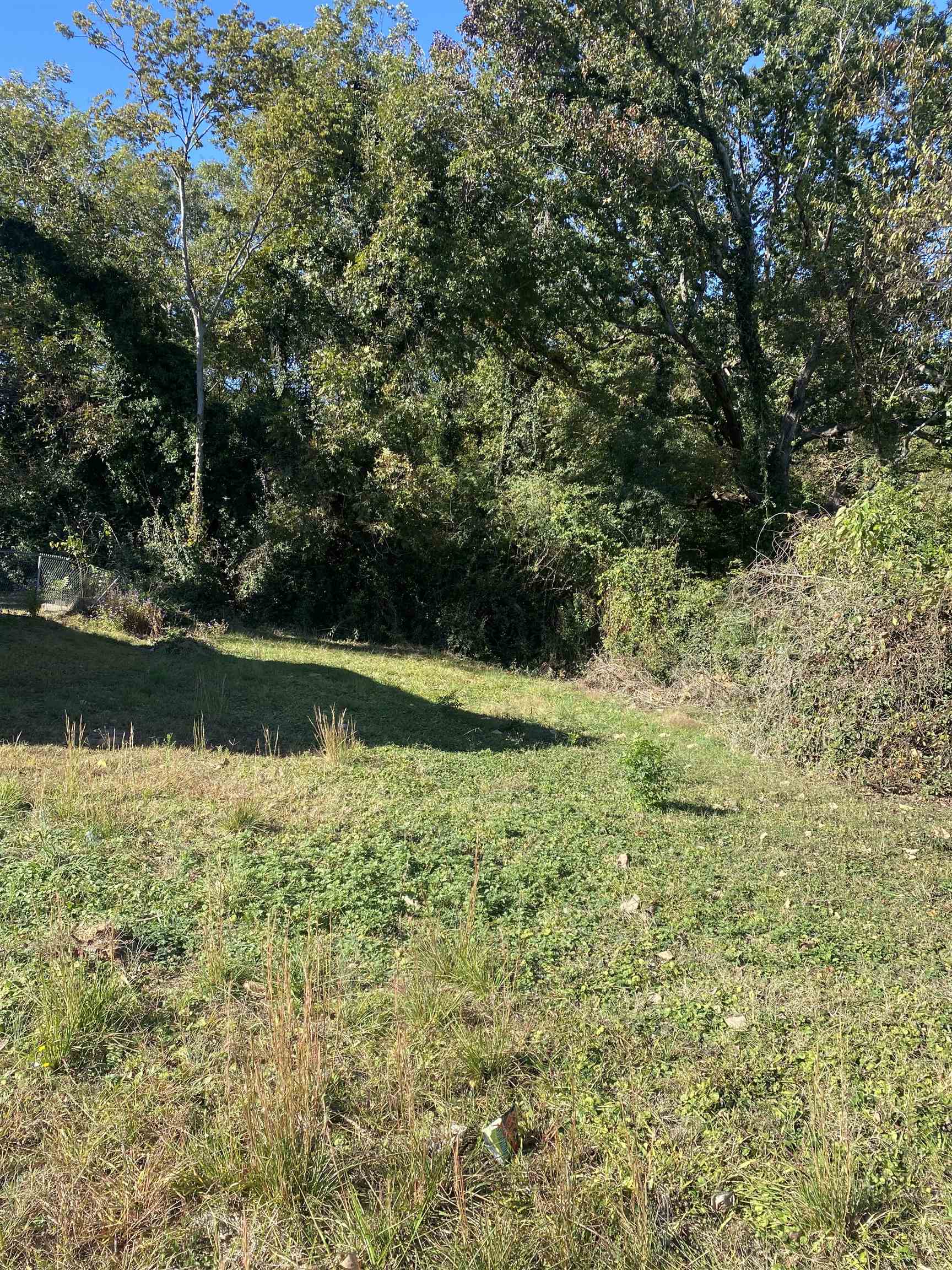Photo 1 of Unimproved Land at 310 Gage Ave, Union, SC 29379 | MLS# SPN330307 | | Sold on 2026-01-09