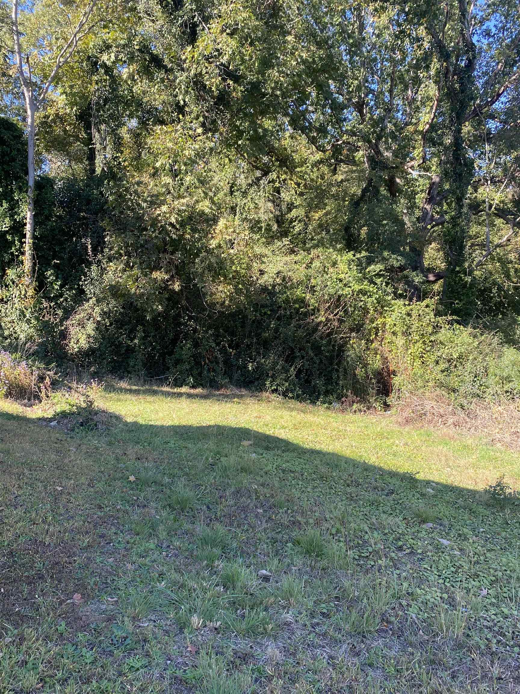 Photo 5 of Unimproved Land at 310 Gage Ave, Union, SC 29379 | MLS# SPN330307 | | Sold on 2026-01-09
