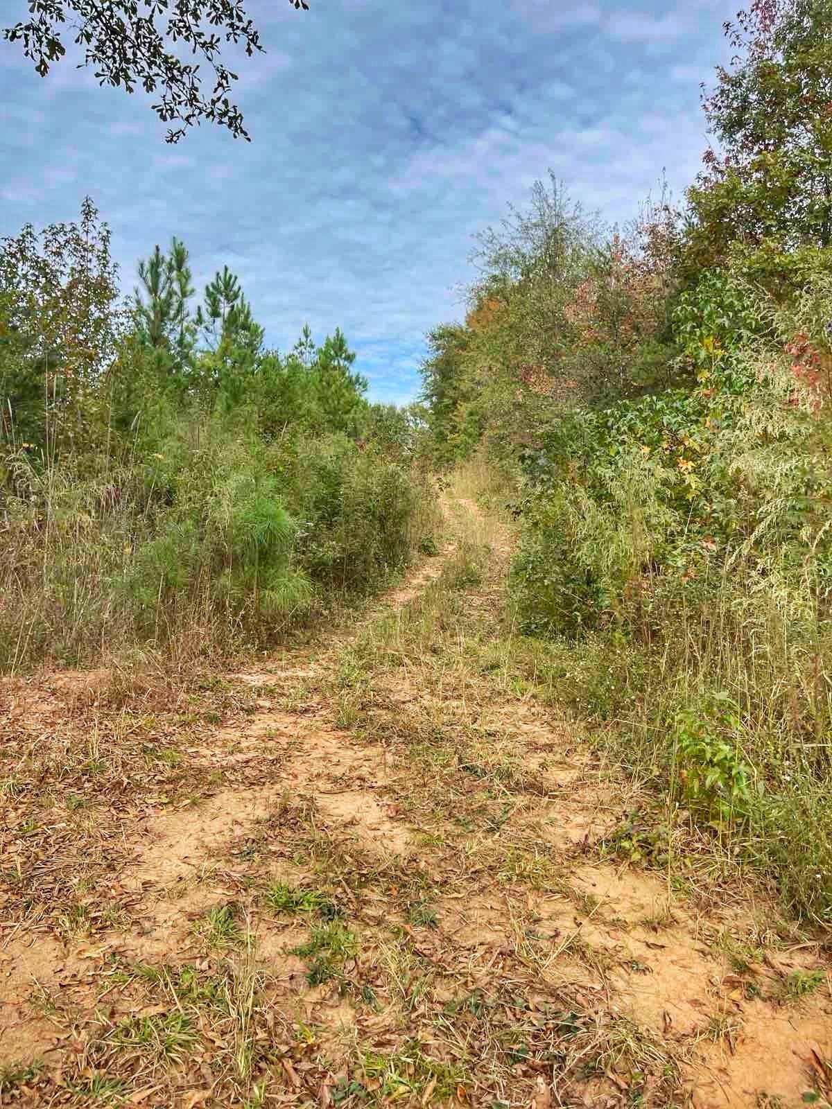 Homes for sale in Inman, SC | 276 Bent River Dr, Inman, SC 29349 | MLS# SPN330456