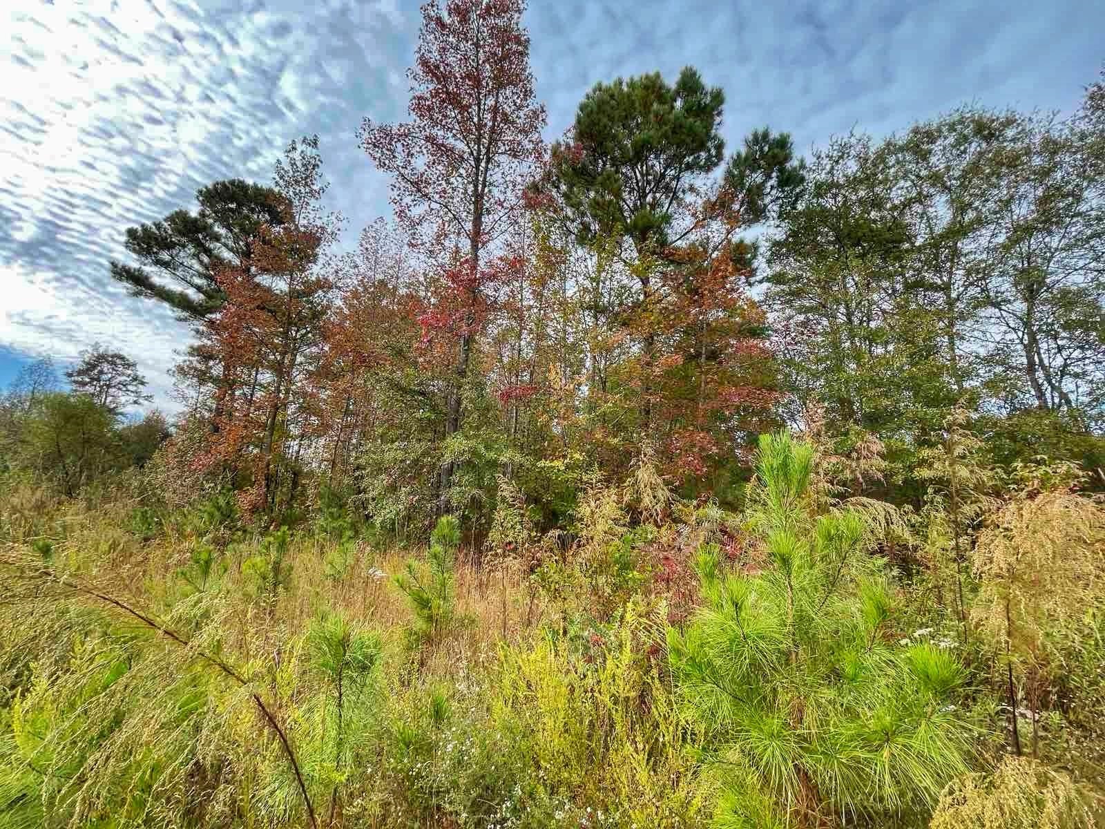 Homes for sale in Inman, SC | 276 Bent River Dr, Inman, SC 29349 | MLS# SPN330456