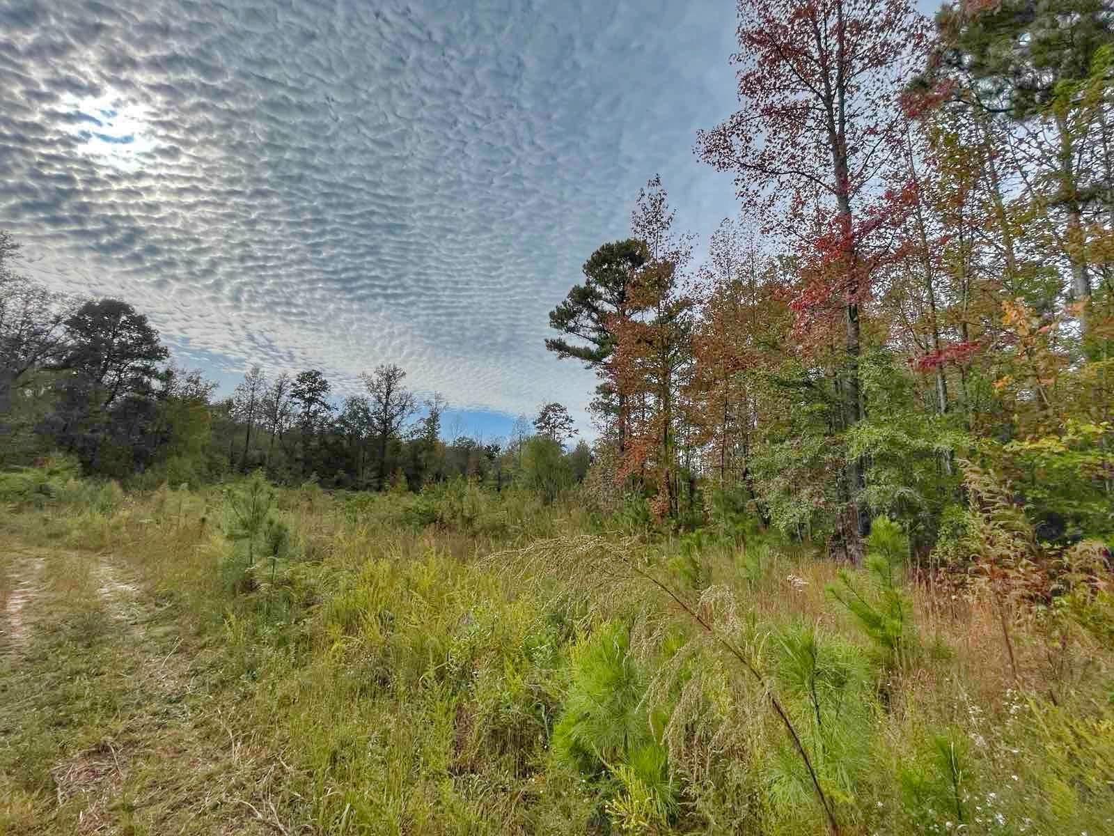 Homes for sale in Inman, SC | 276 Bent River Dr, Inman, SC 29349 | MLS# SPN330456