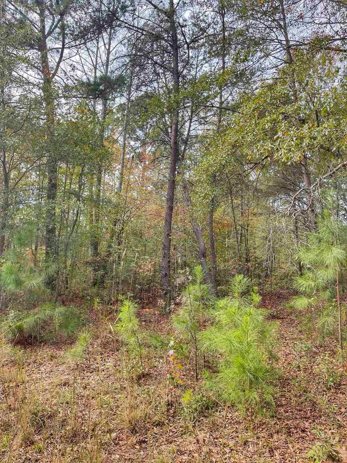 Homes for sale in Inman, SC | 276 Bent River Dr, Inman, SC 29349 | MLS# SPN330456