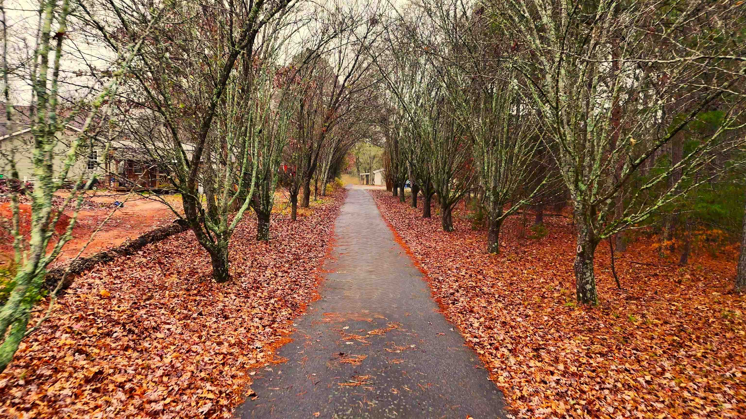 Homes for sale in Chesnee, SC | 190 Clement Rd, Chesnee, SC 29323 | MLS# SPN331371