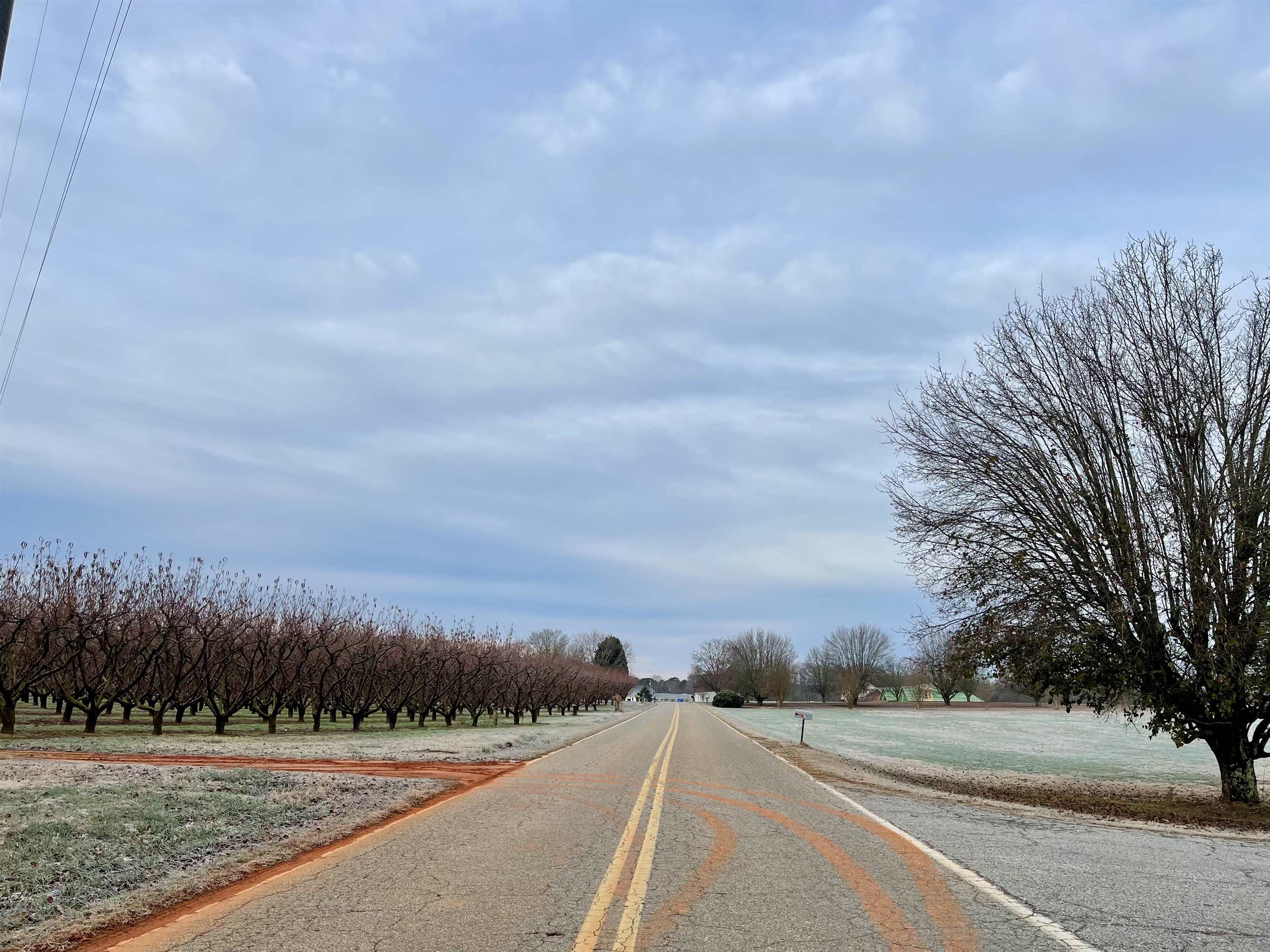 Homes for sale in Chesnee, SC | 905 Henderson Rd, Chesnee, SC 29323 | MLS# SPN331490