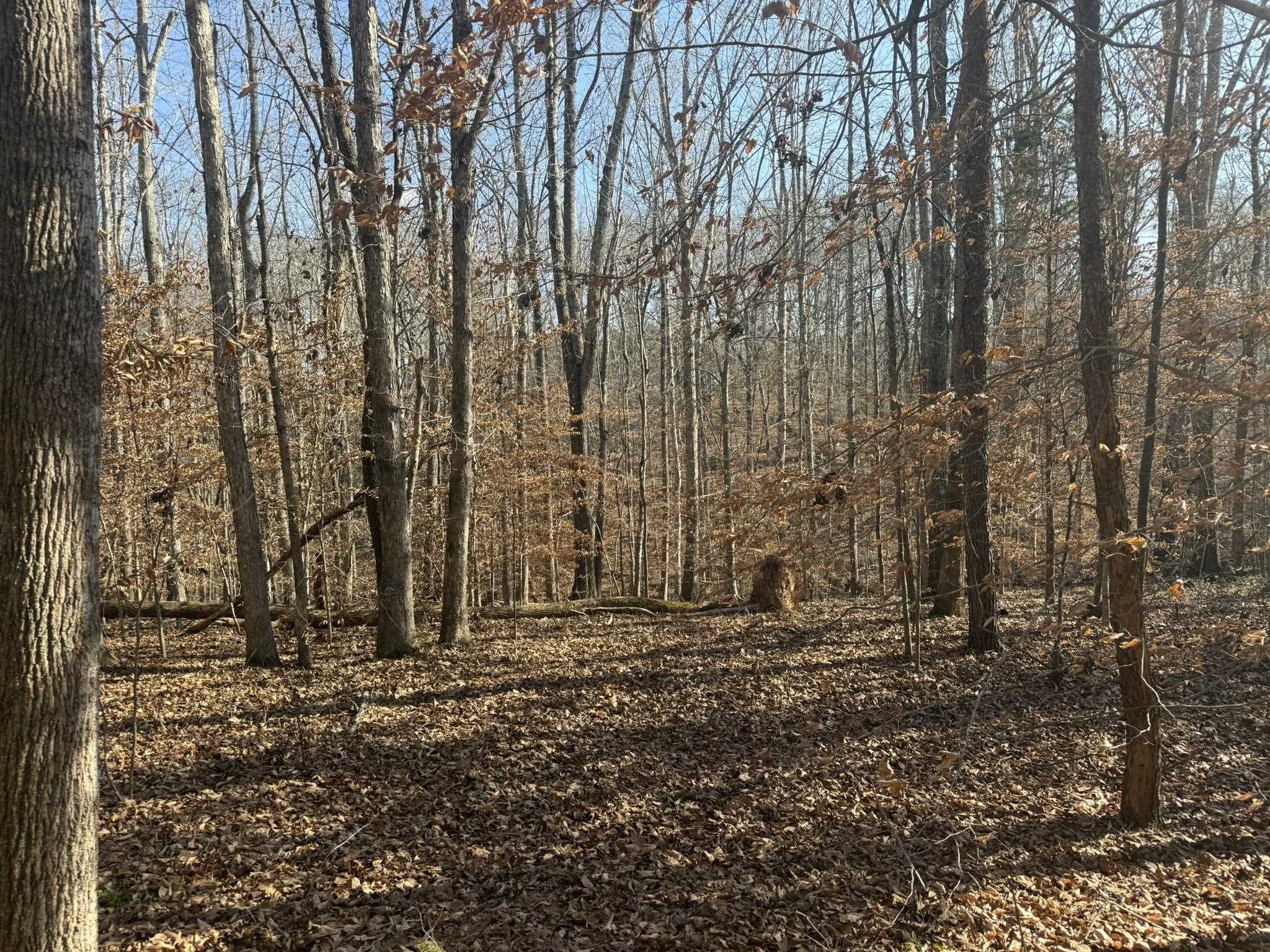 Homes for sale in Blacksburg, SC | 192 Rambler Ln, Blacksburg, SC 29702 | MLS# SPN331957