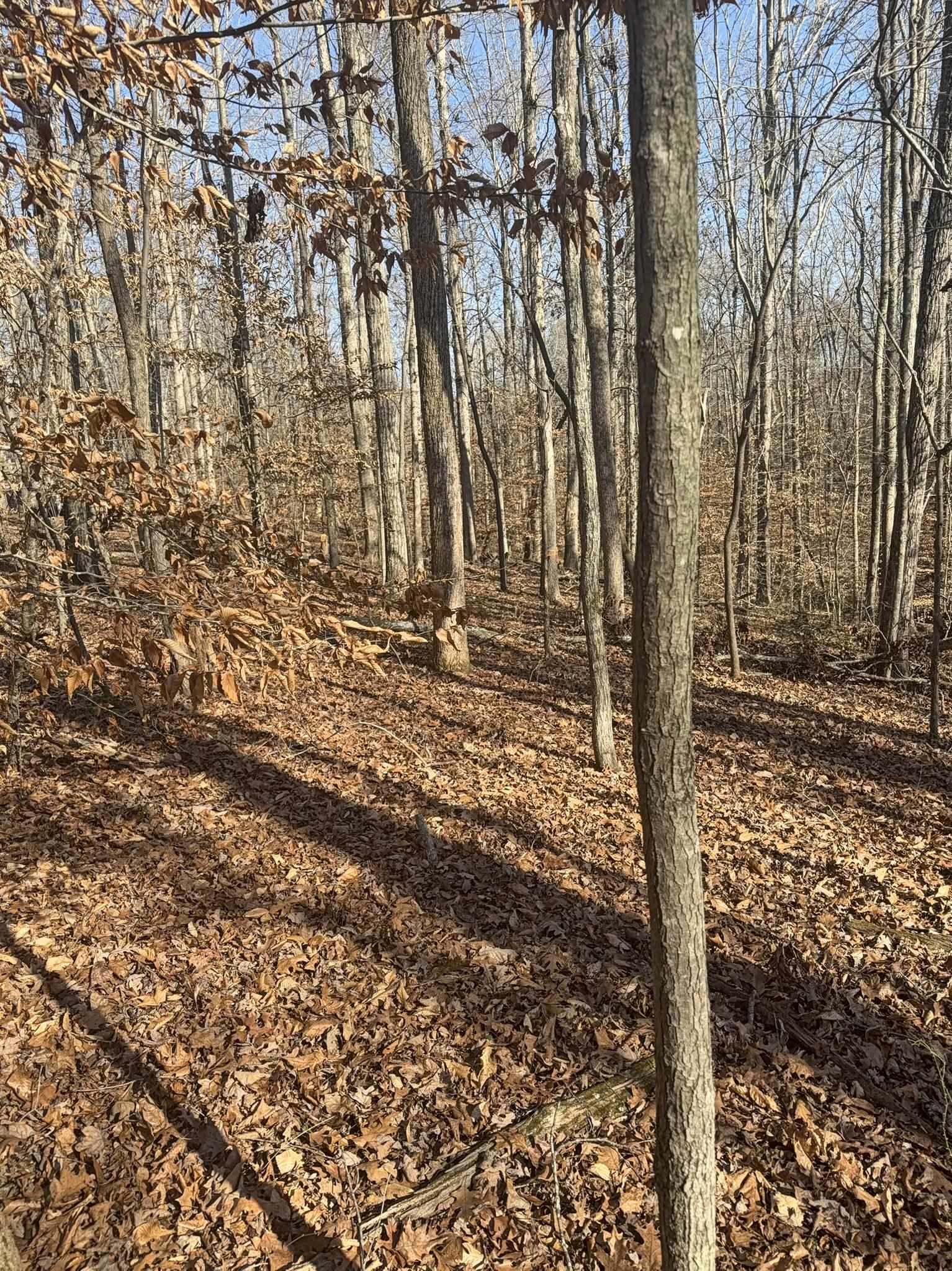 Homes for sale in Blacksburg, SC | 192 Rambler Ln, Blacksburg, SC 29702 | MLS# SPN331957