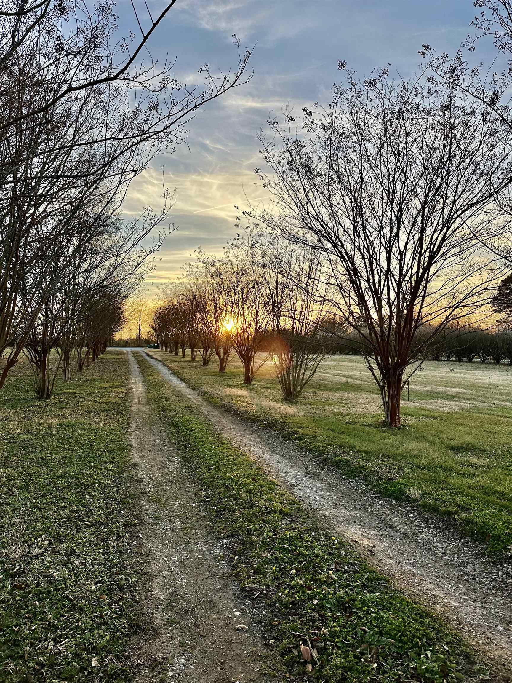 Homes for sale in Gaffney, SC | 676 Buck Shoals Rd, Gaffney, SC 29341 | MLS# SPN332483