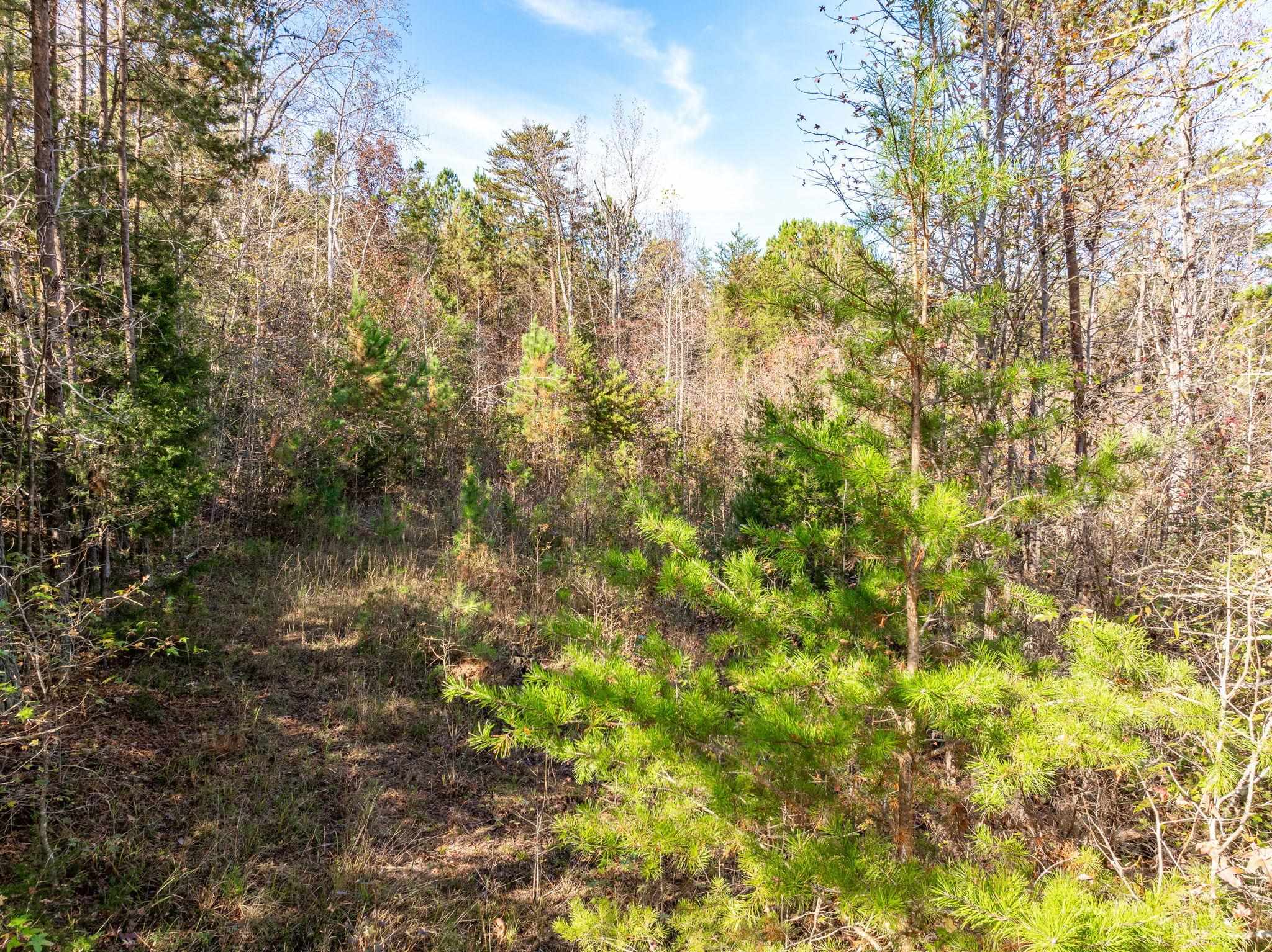 Homes for sale in Gaffney, SC | 146 Spring Lake Rd, Gaffney, SC 29340 | MLS# SPN333033