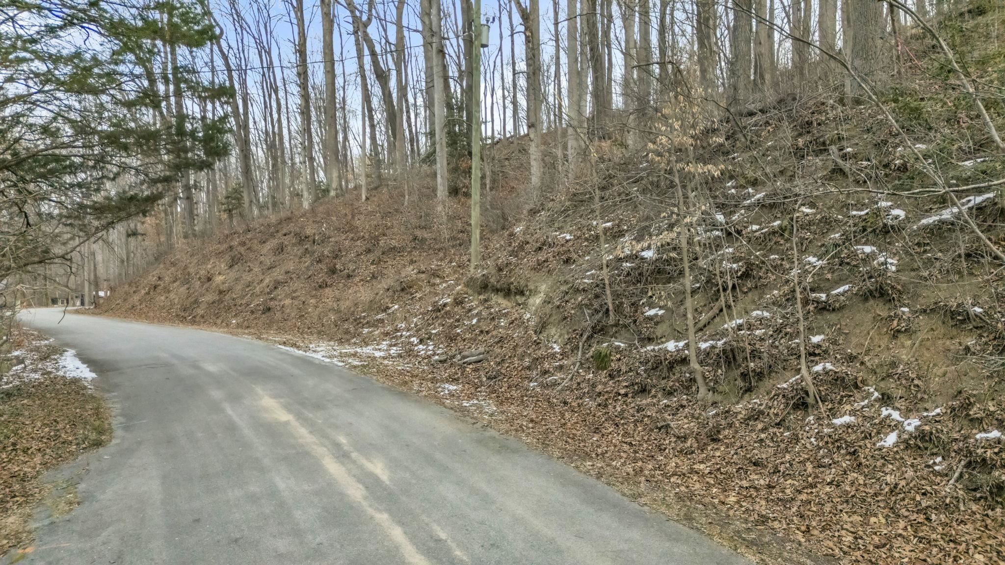 Homes for sale in Travelers Rest, SC | 29 Forest Dr, Travelers Rest, SC 29690 | MLS# SPN333097