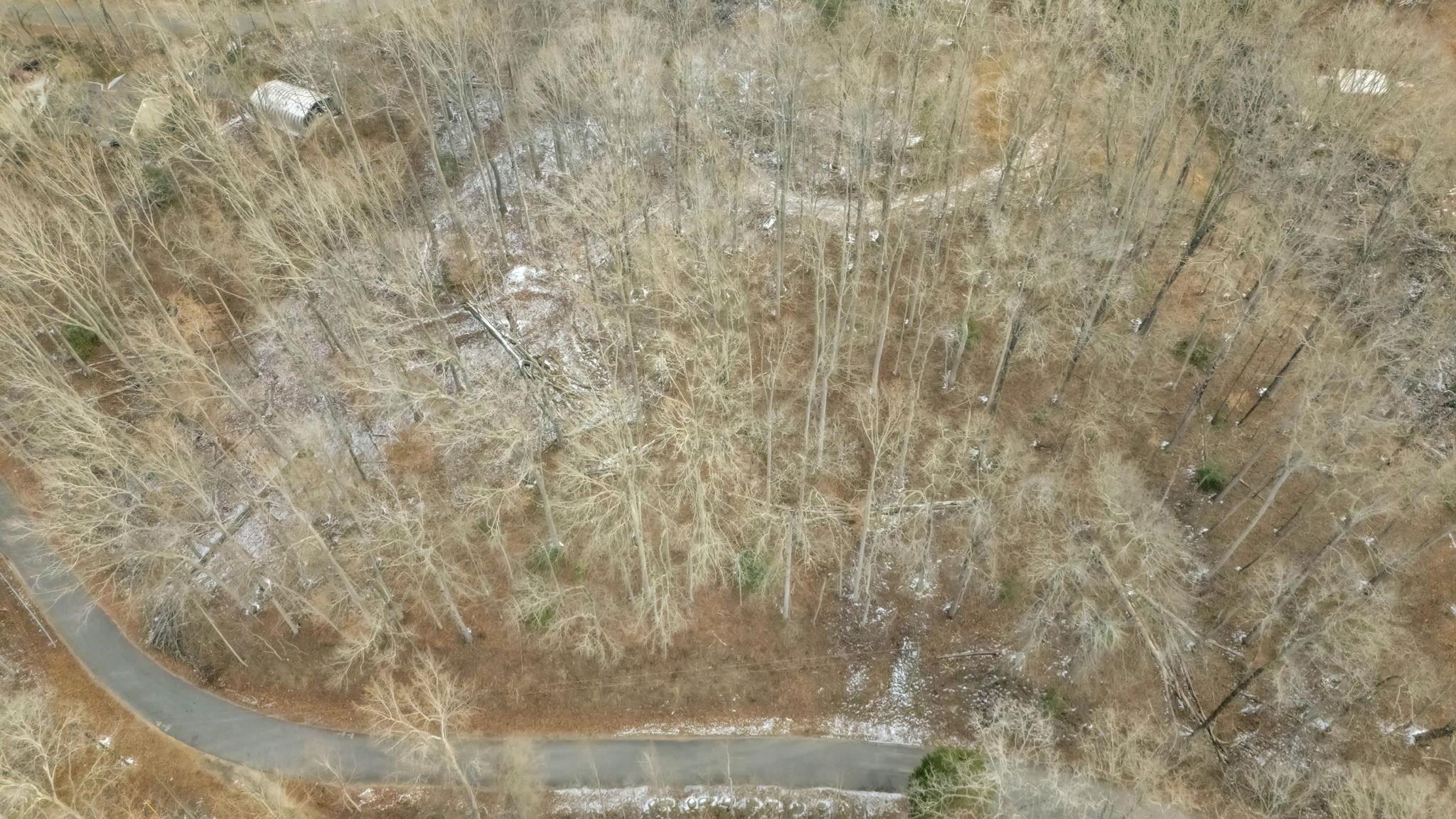 Homes for sale in Travelers Rest, SC | 29 Forest Dr, Travelers Rest, SC 29690 | MLS# SPN333097