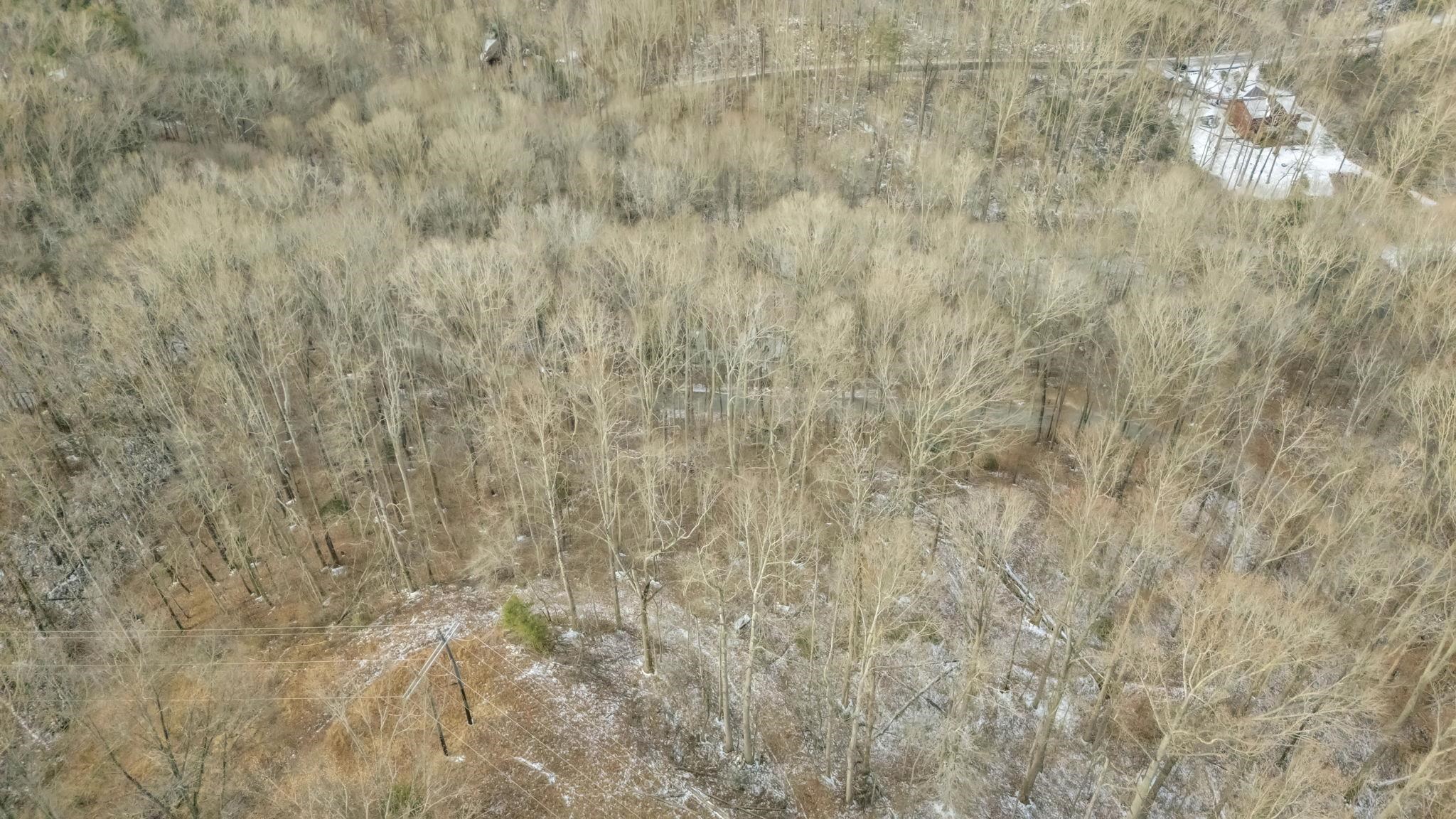 Homes for sale in Travelers Rest, SC | 29 Forest Dr, Travelers Rest, SC 29690 | MLS# SPN333097