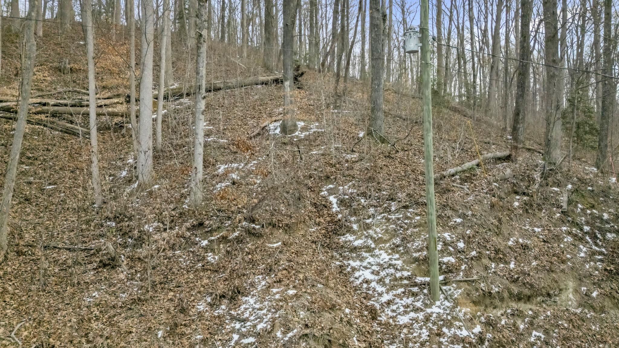 Homes for sale in Travelers Rest, SC | 29 Forest Dr, Travelers Rest, SC 29690 | MLS# SPN333097