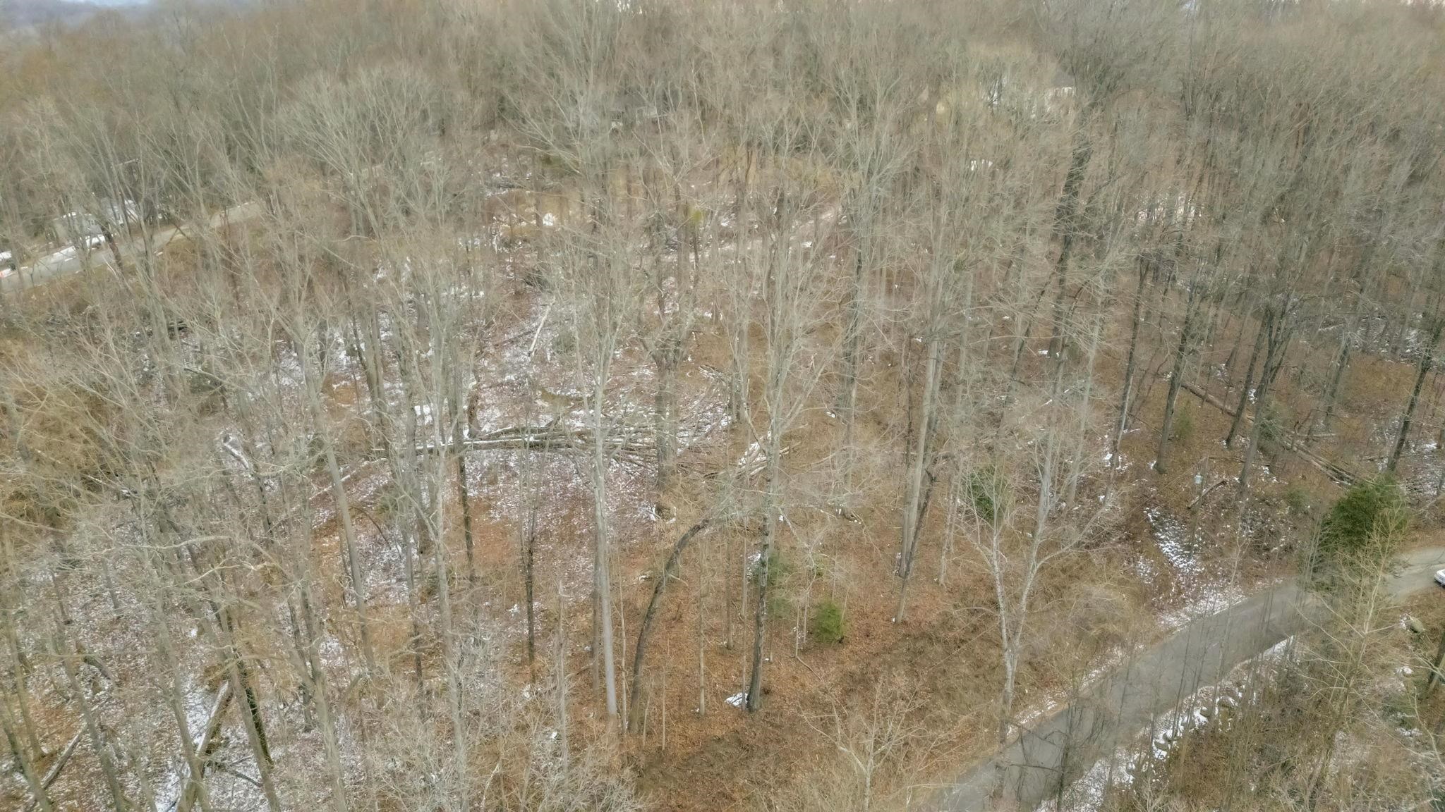 Homes for sale in Travelers Rest, SC | 29 Forest Dr, Travelers Rest, SC 29690 | MLS# SPN333097