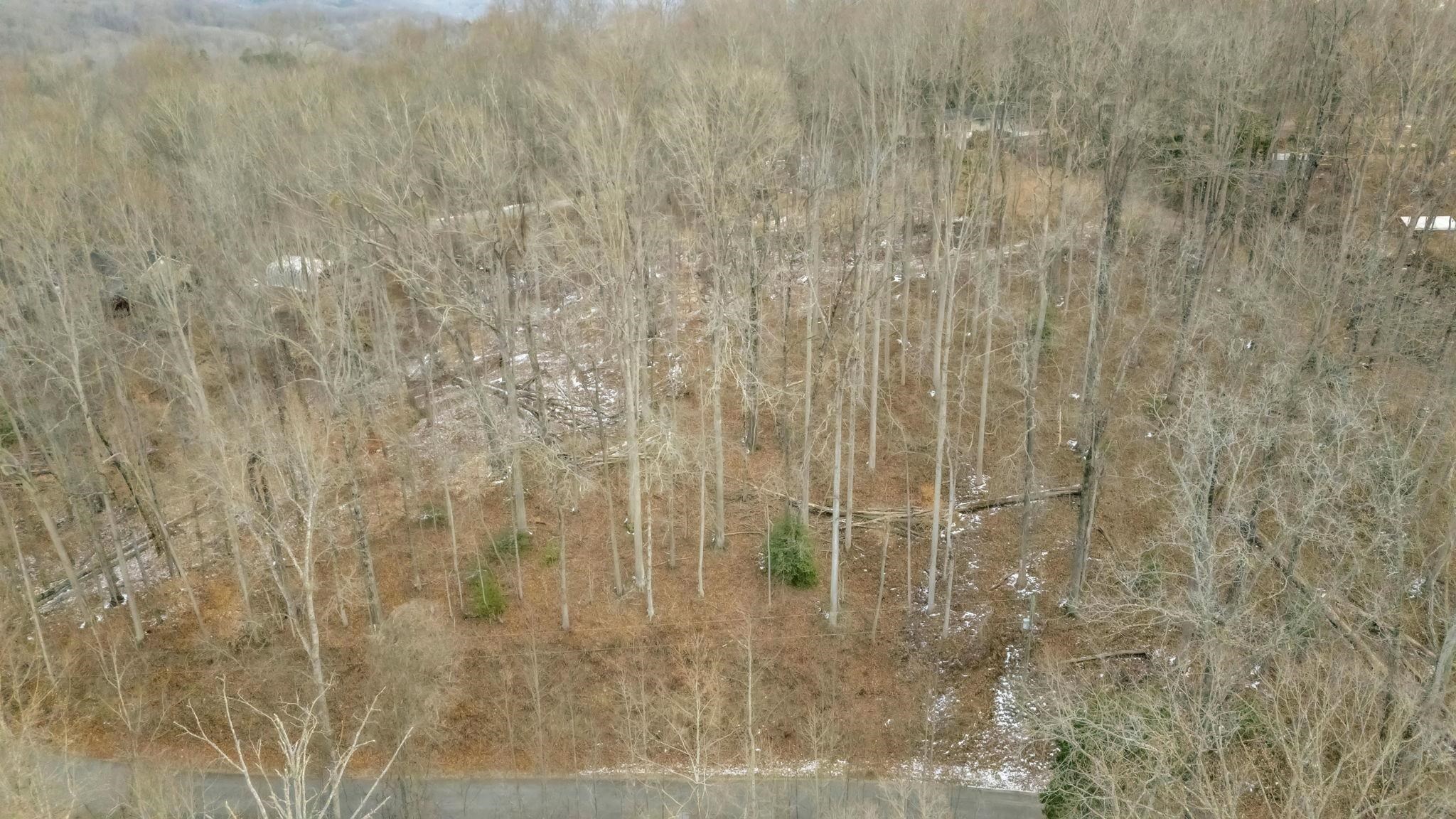 Homes for sale in Travelers Rest, SC | 29 Forest Dr, Travelers Rest, SC 29690 | MLS# SPN333097