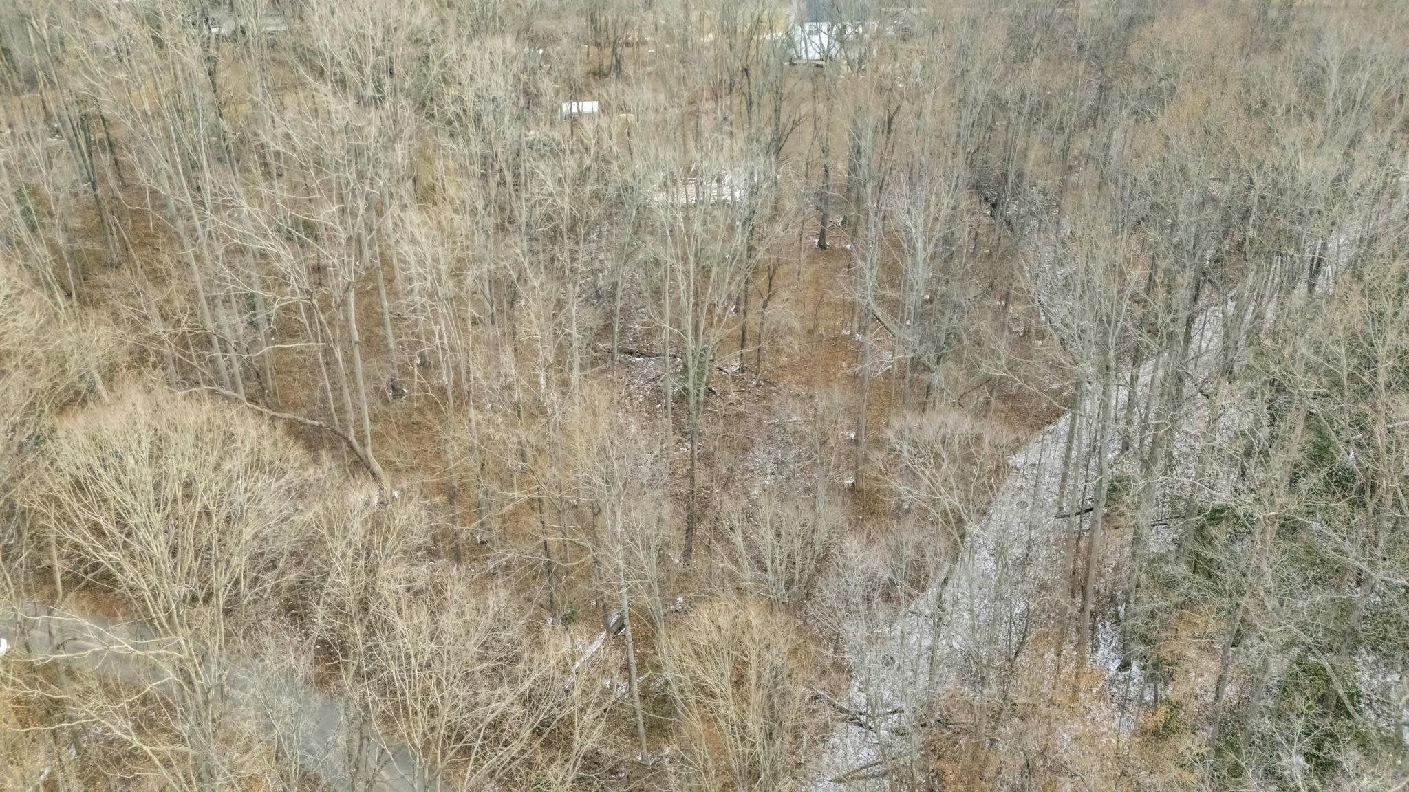 Homes for sale in Travelers Rest, SC | 33 Forest Dr, Travelers Rest, SC 29690 | MLS# SPN333098