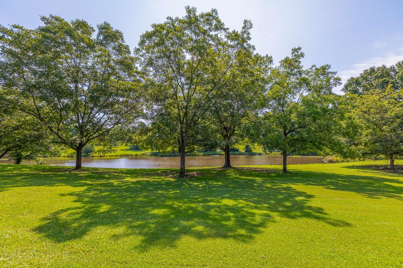 Homes for sale in Campobello, SC | 120 Rainey Mill Rd, Campobello, SC 29322 | MLS# SPN333122