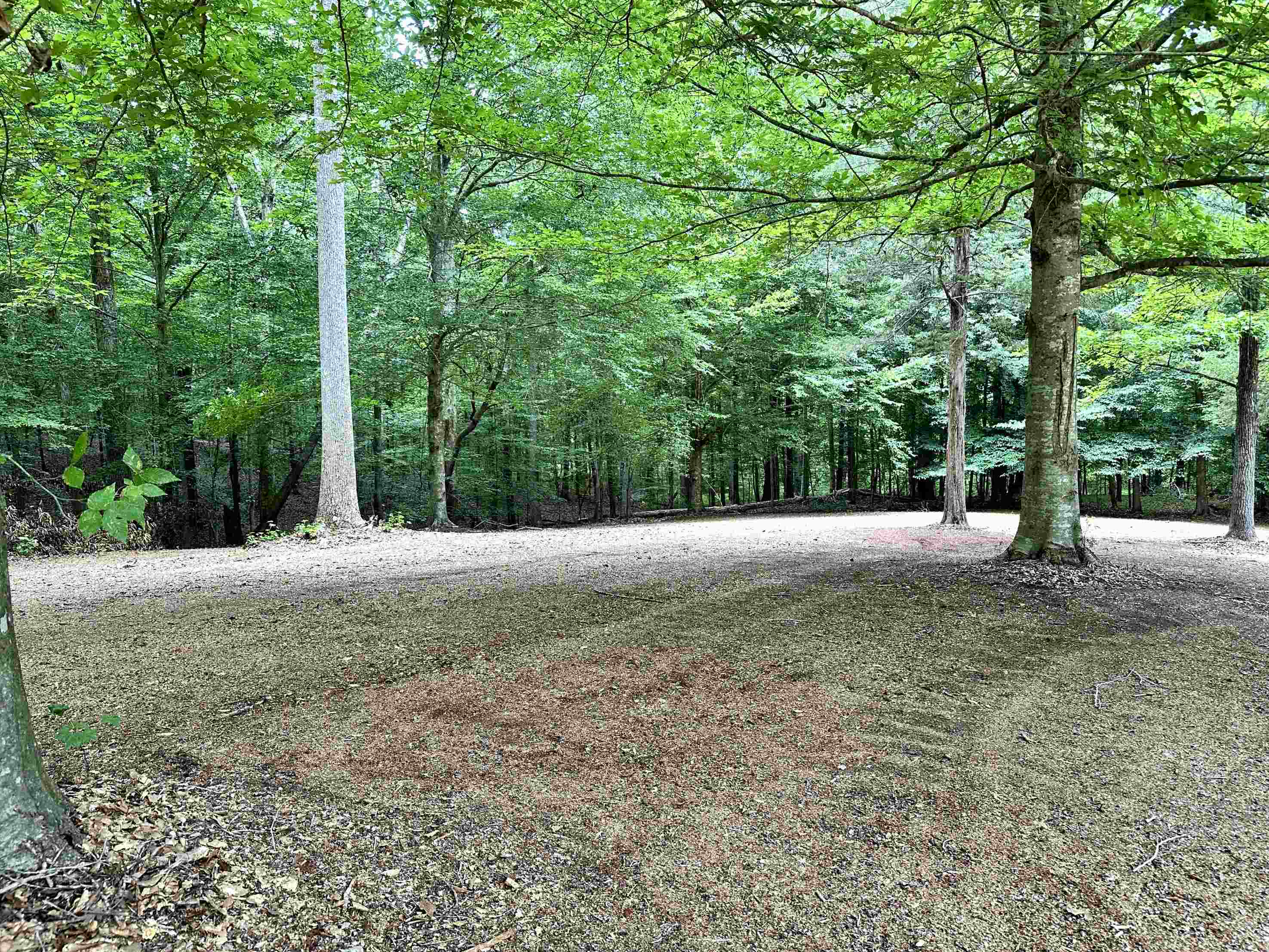 Homes for sale in Pacolet, SC | 220 Willow St, Pacolet, SC 29372 | MLS# SPN333124