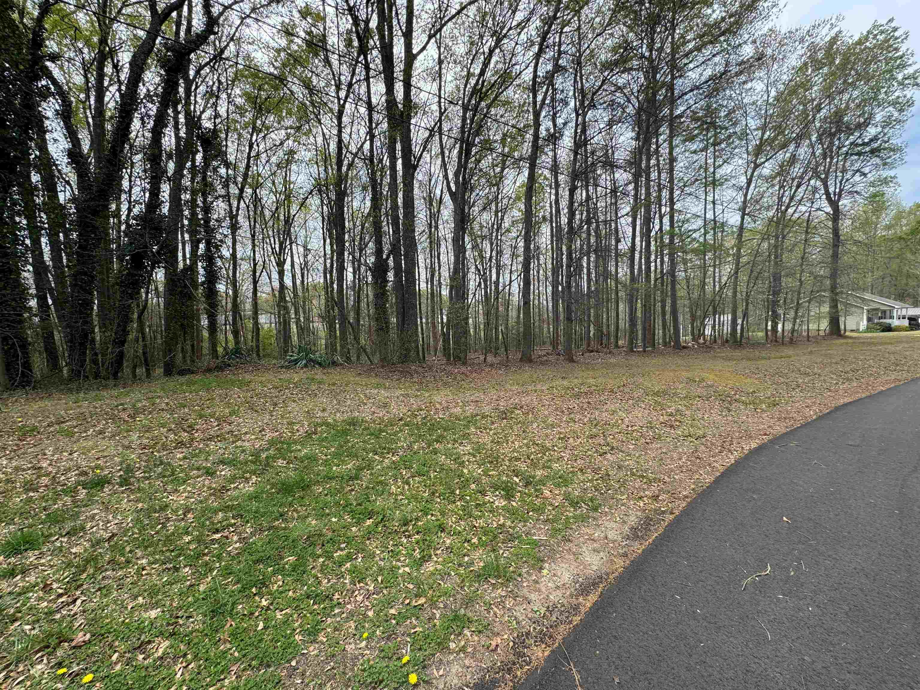 6th image of 00 Cedar Cir, Chesnee, SC 29323 | MLS# SPN336265