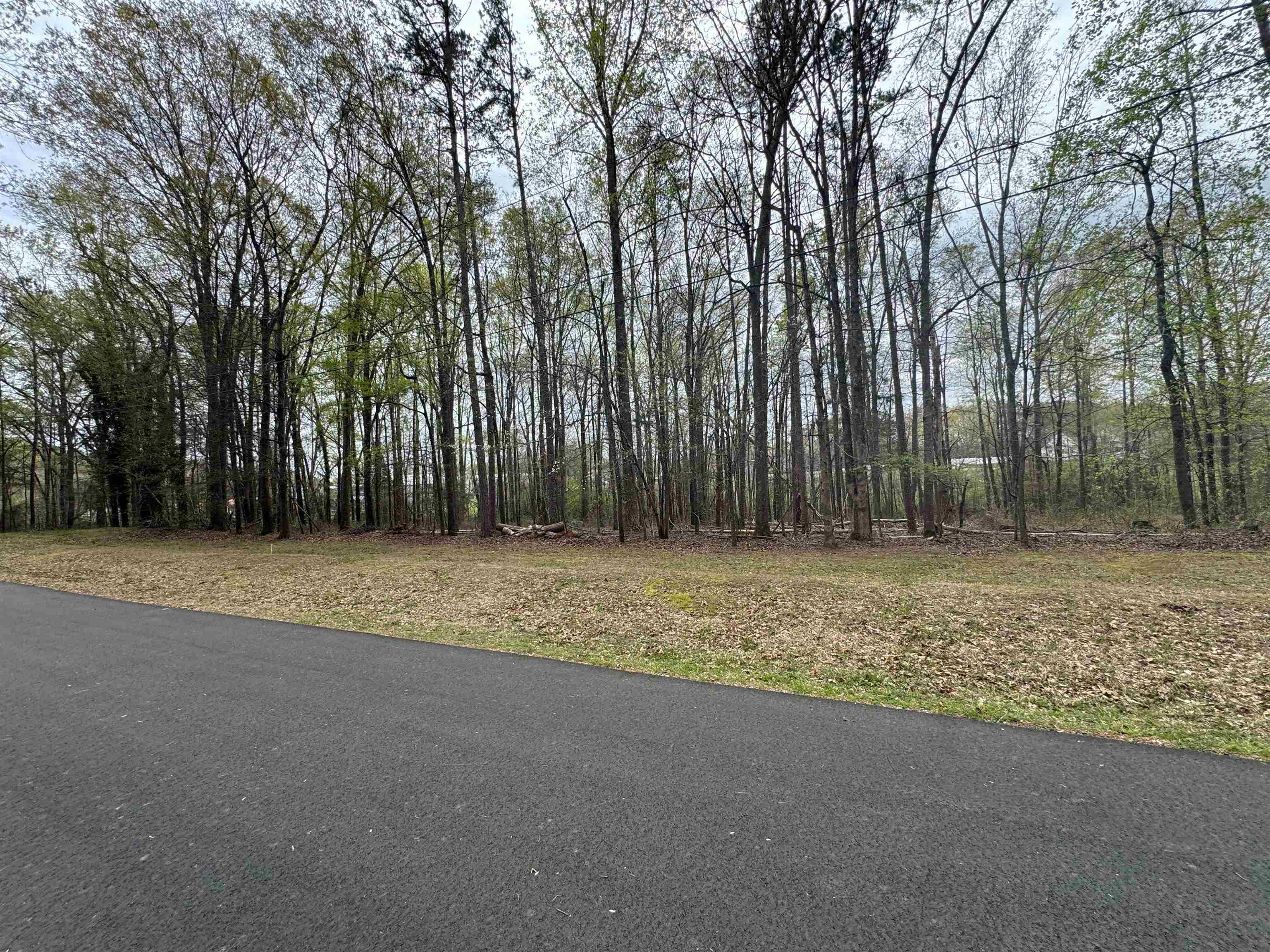2nd image of 00 Cedar Cir, Chesnee, SC 29323 | MLS# SPN336265