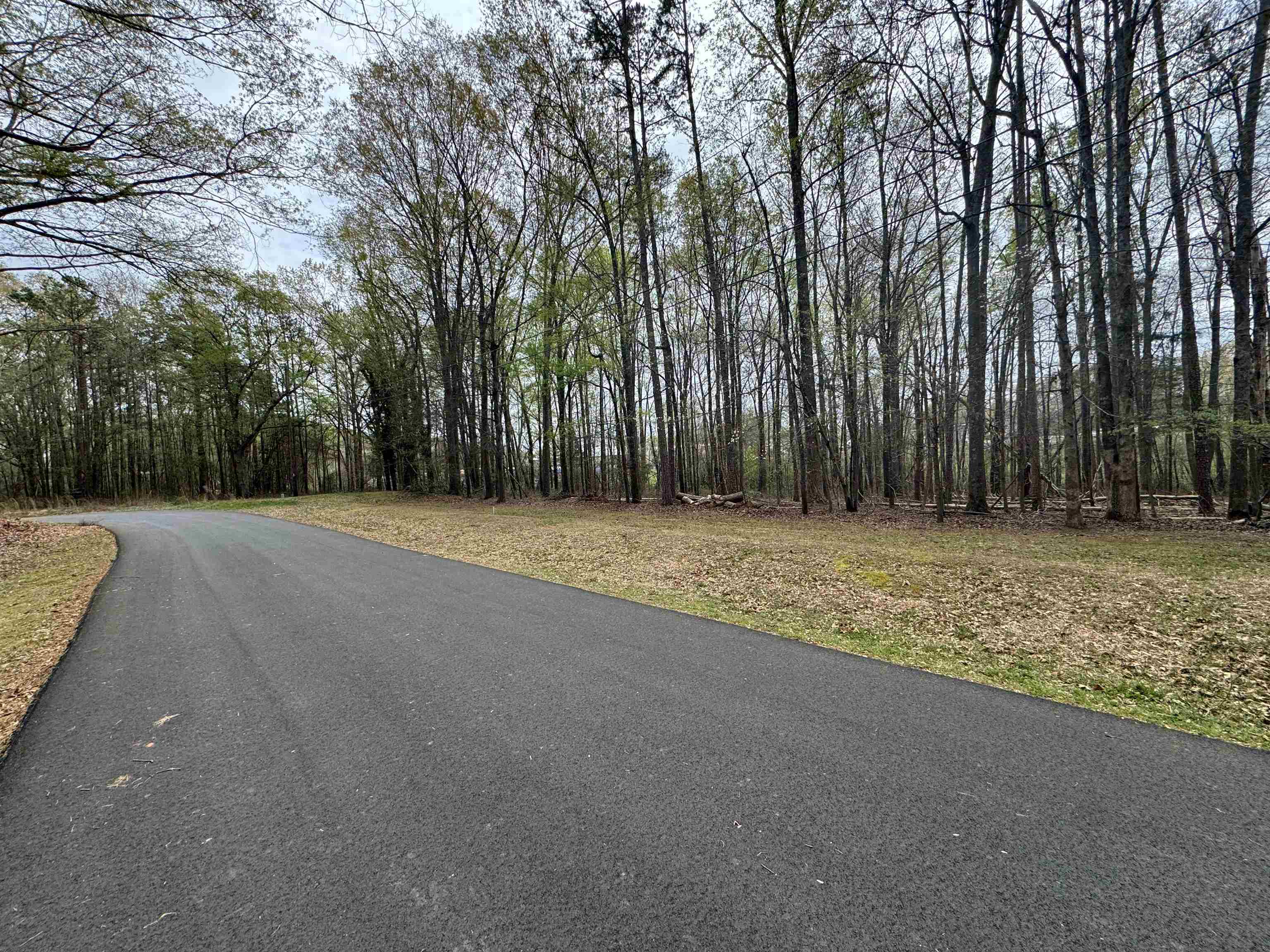 3rd image of 00 Cedar Cir, Chesnee, SC 29323 | MLS# SPN336265