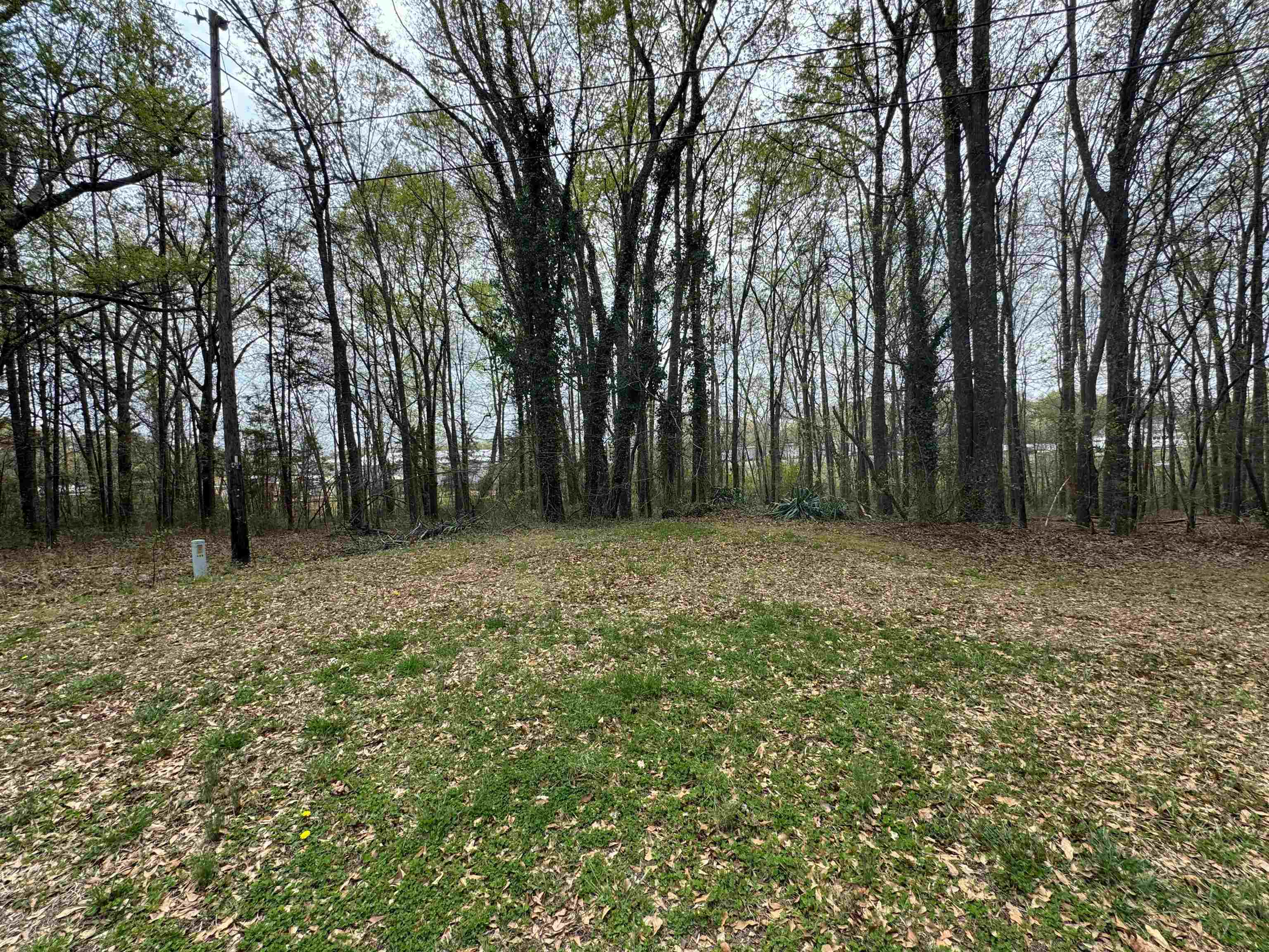 5th image of 00 Cedar Cir, Chesnee, SC 29323 | MLS# SPN336265