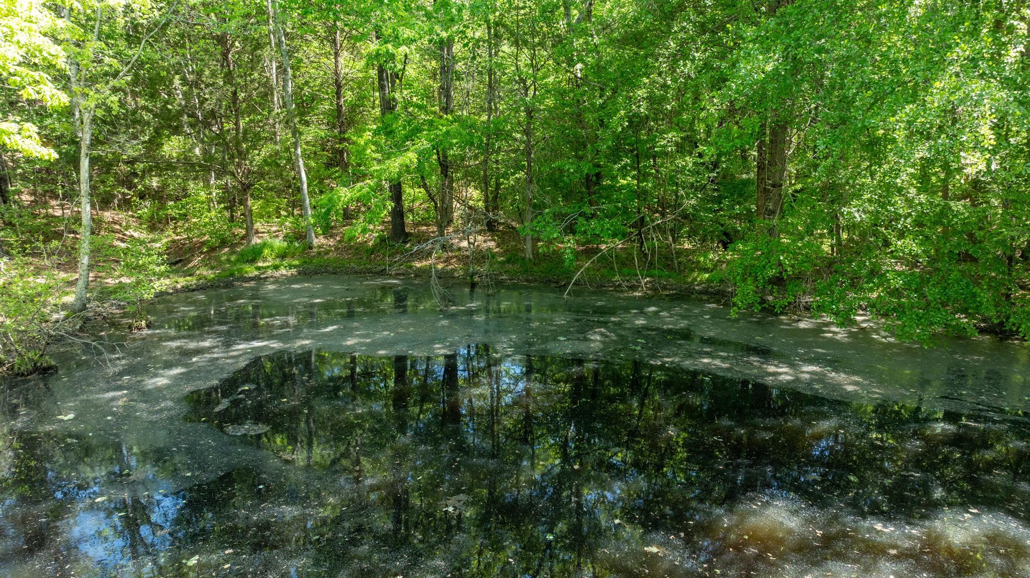 Photo 23 of Land for sale at 767 Gowdeysville Rd, Gaffney, SC 29340 | MLS# SPN336402 | Listing updated on 2026-09-01