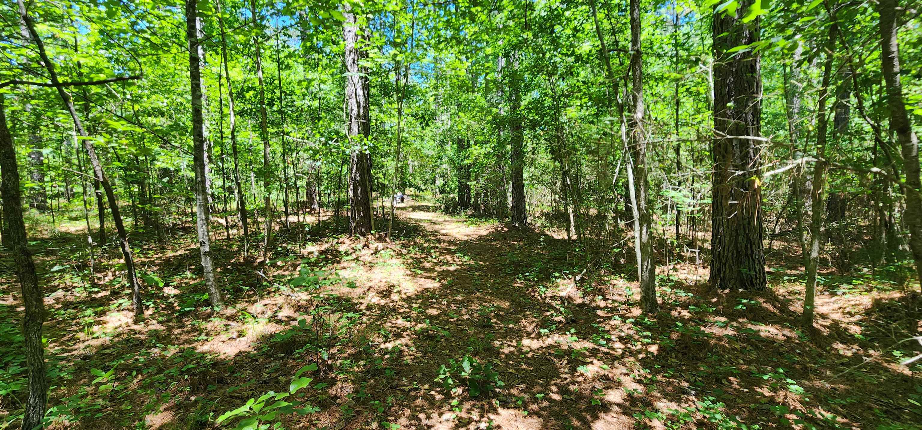 Homes for sale in Mill Spring, NC | 171 Bambi Ln, Mill Spring, NC 28756 | MLS# SPN337926