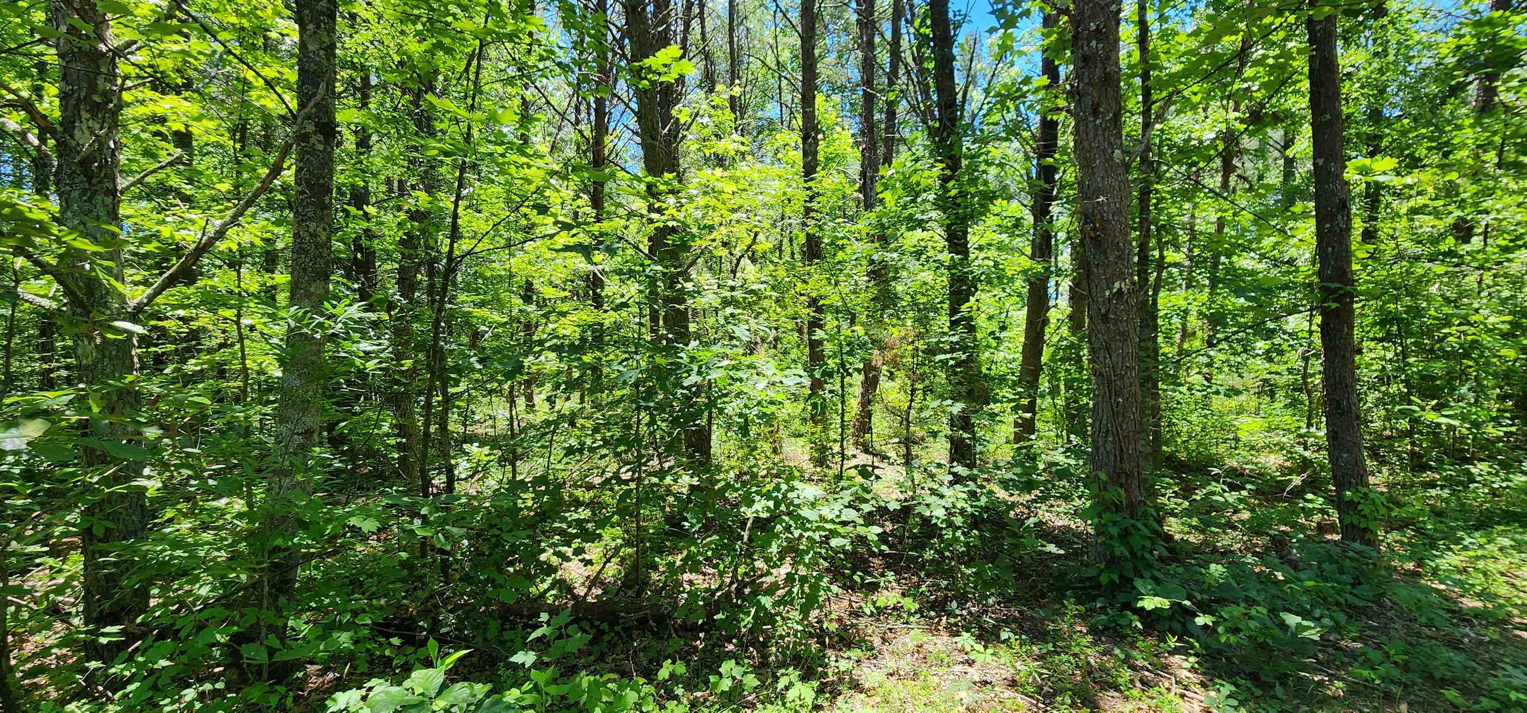 Homes for sale in Mill Spring, NC | 171 Bambi Ln, Mill Spring, NC 28756 | MLS# SPN337926