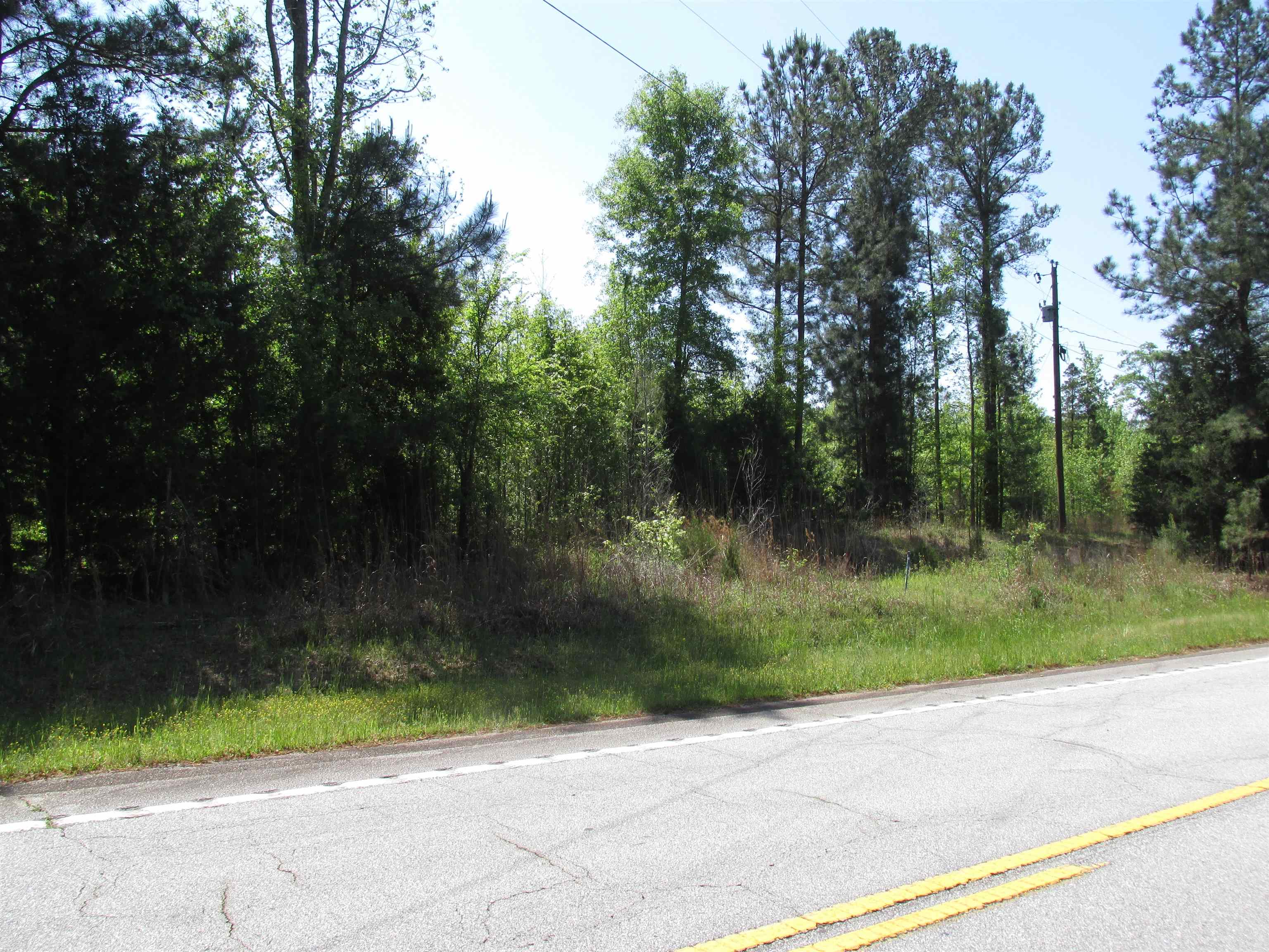 Homes for sale in Winnsboro, SC | 0 Kincaid Bridge Road Road, Winnsboro, SC 29180 | MLS# SPN339498