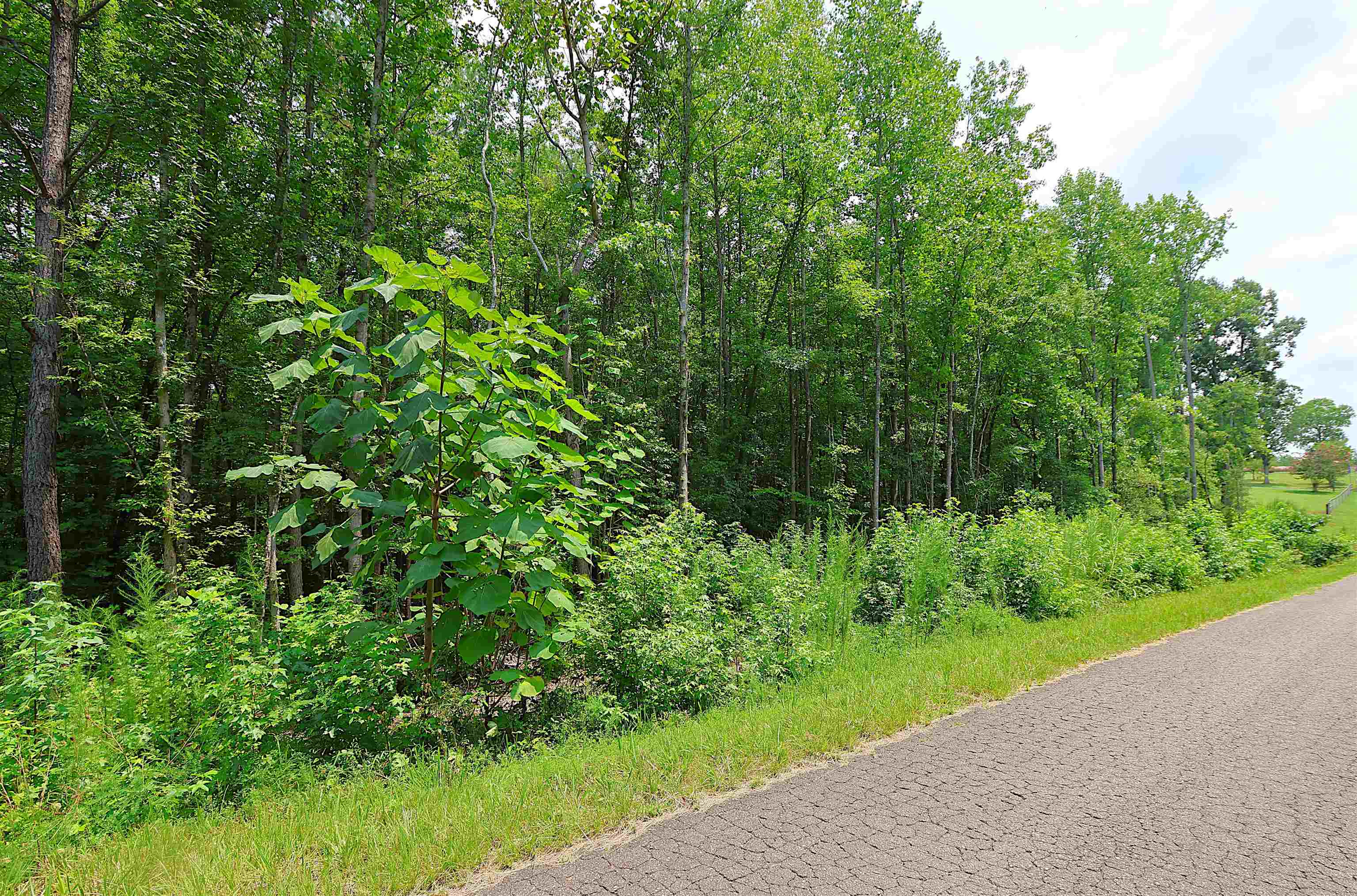 3rd image of Tbd Byars Farm Rd, Gaffney, SC 29341 | MLS# SPN340119