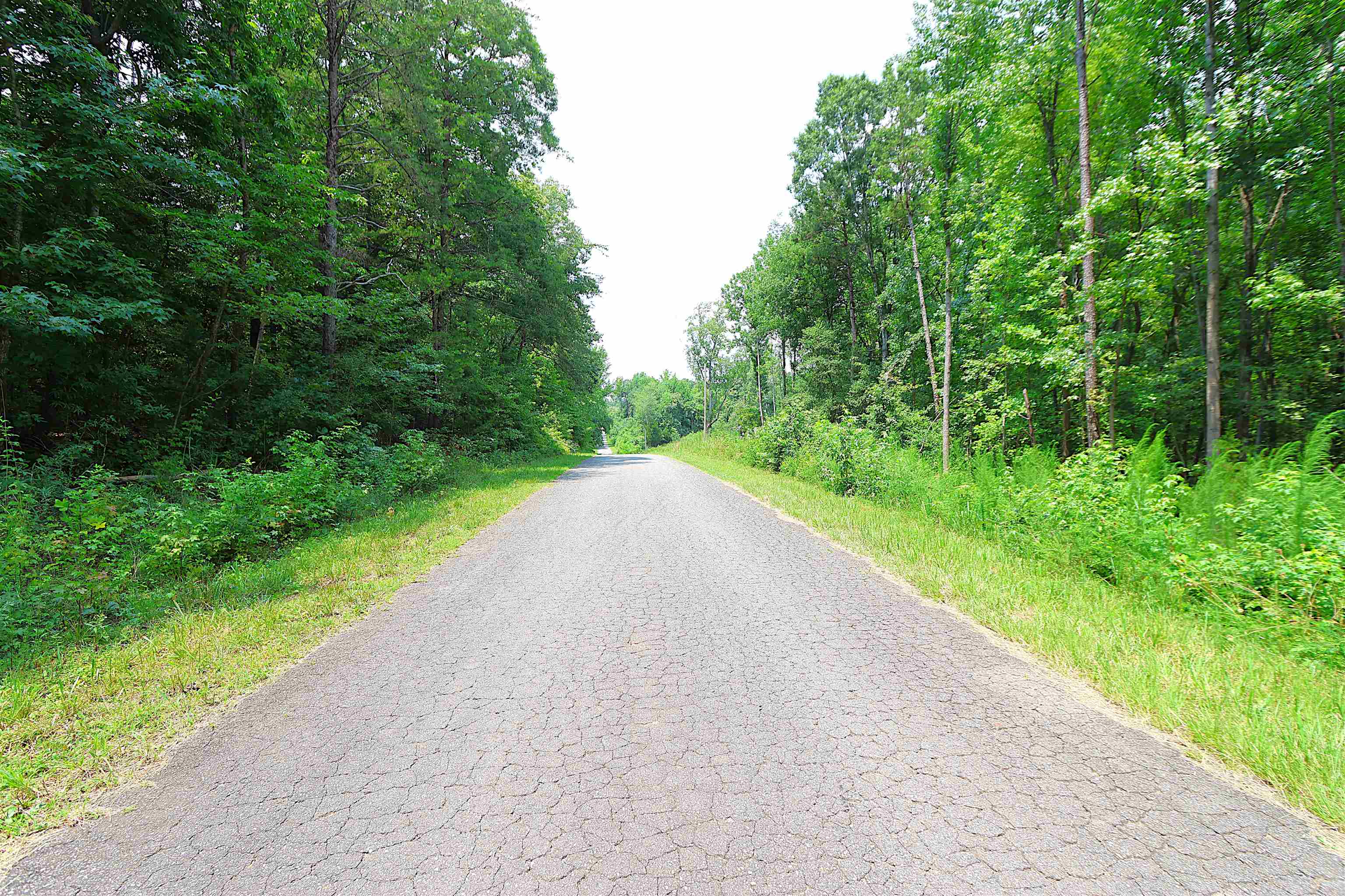 4th image of Tbd Byars Farm Rd, Gaffney, SC 29341 | MLS# SPN340119