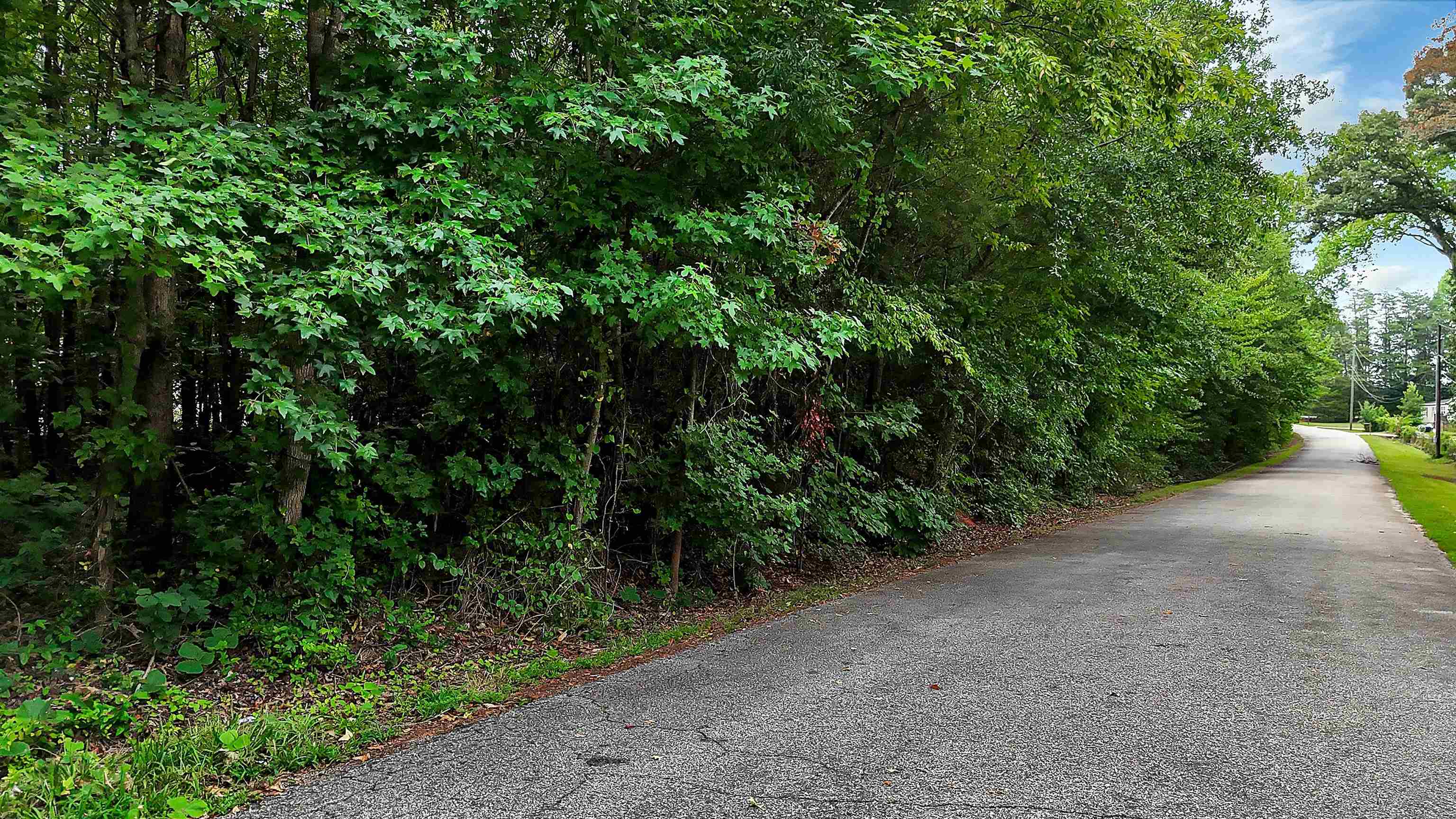 2nd image of 00 Harlee Ln, Piedmont, SC 29673 | MLS# SPN340270