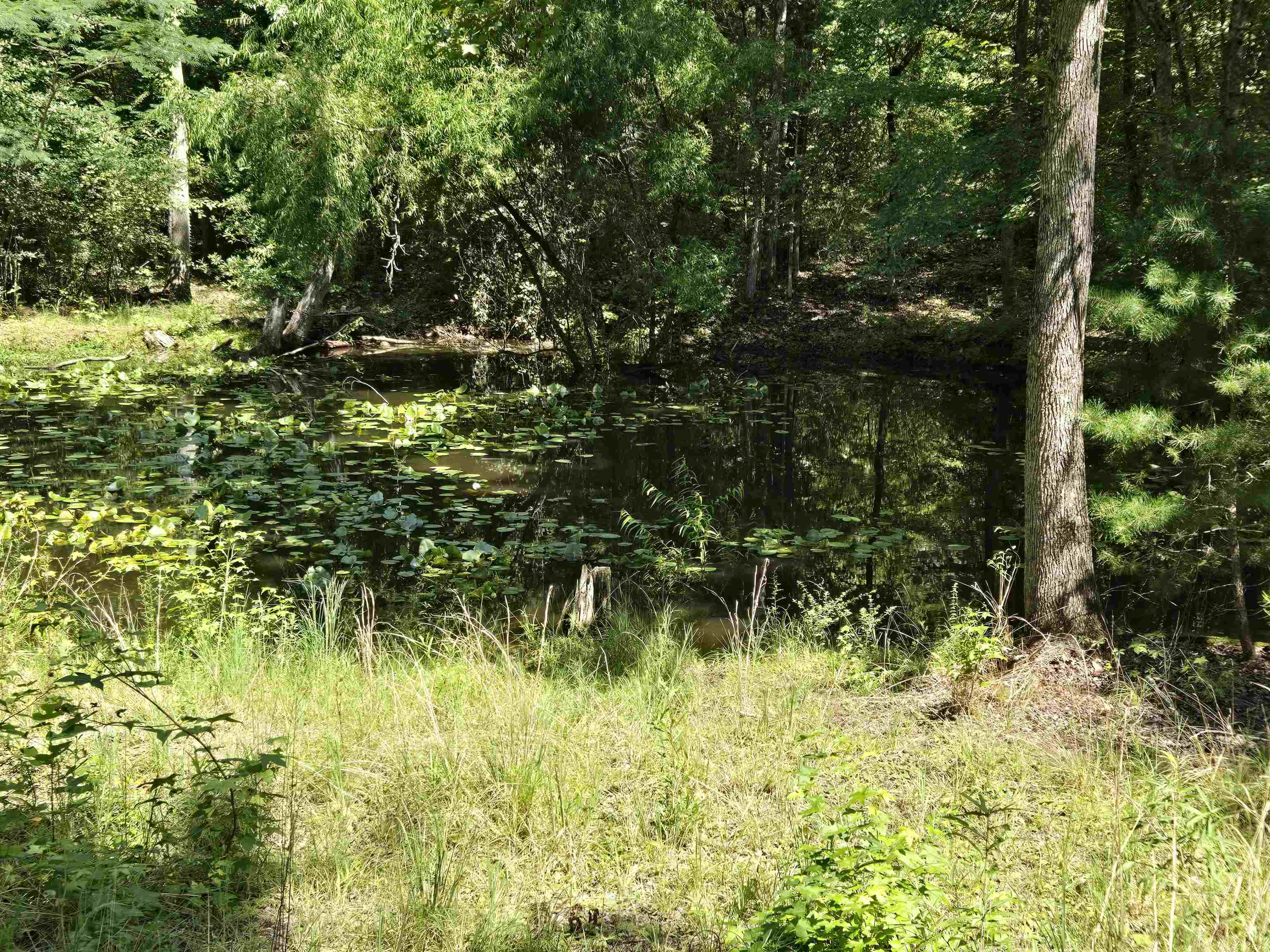 40th image of 2440 Mount Lebanon Rd, Campobello, SC 29322 | MLS# SPN340286