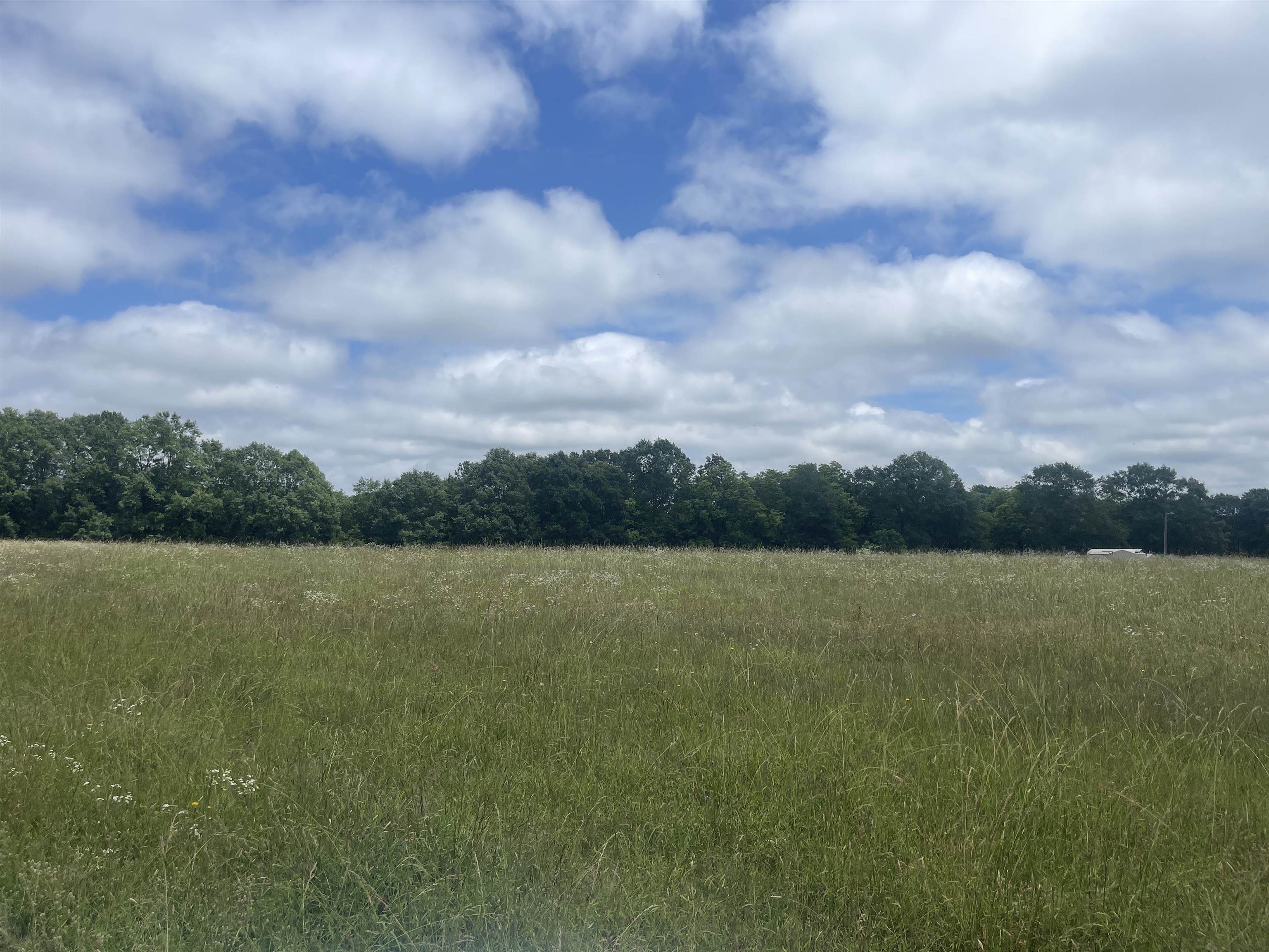 2nd image of 1453 W Georgia Rd, Simpsonville, SC 29680 | MLS# SPN340694