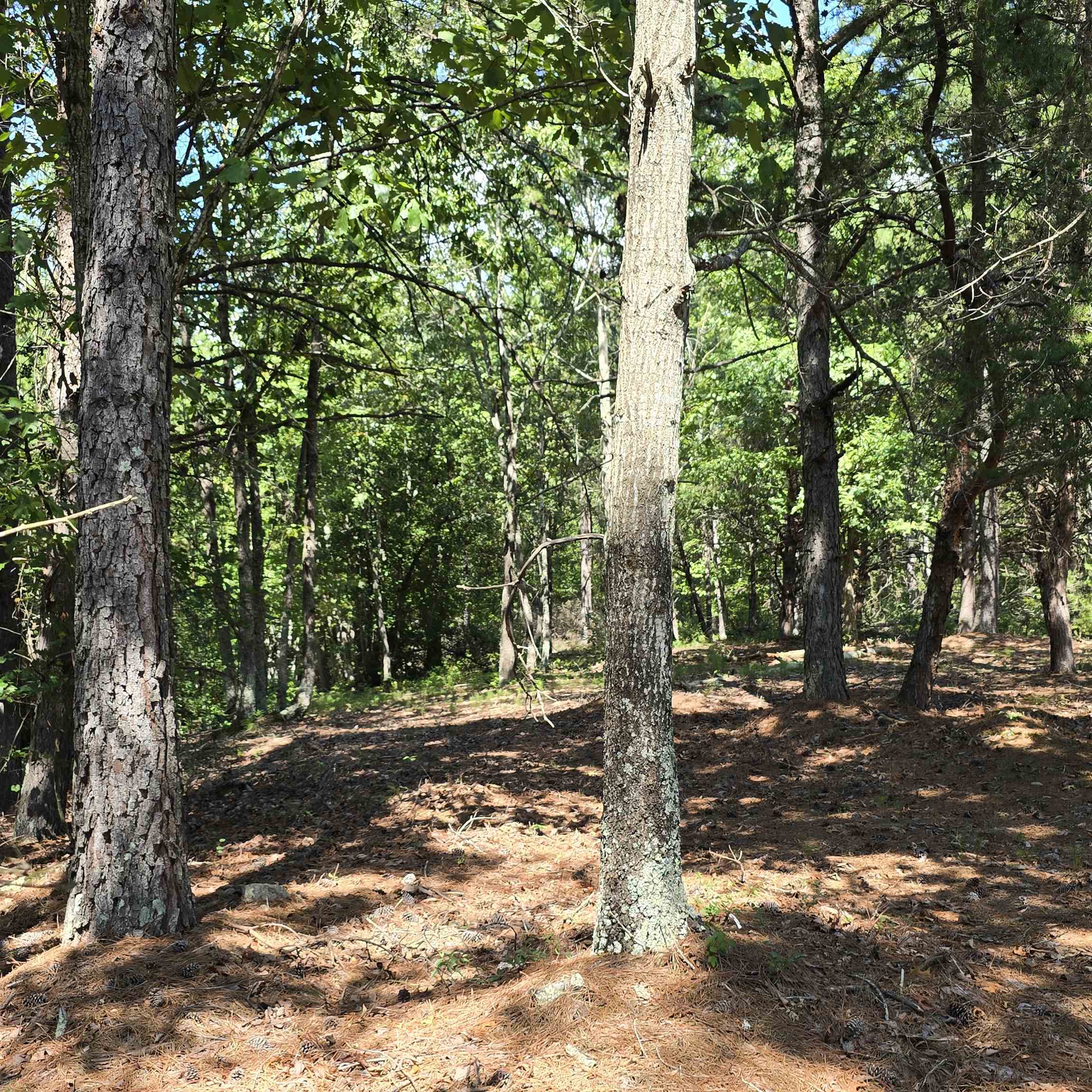 Photo 4 of Land for sale at 0 Helms Rd, Blacksburg, SC 29702 | MLS# SPN341406 | Listing updated on 2026-09-05