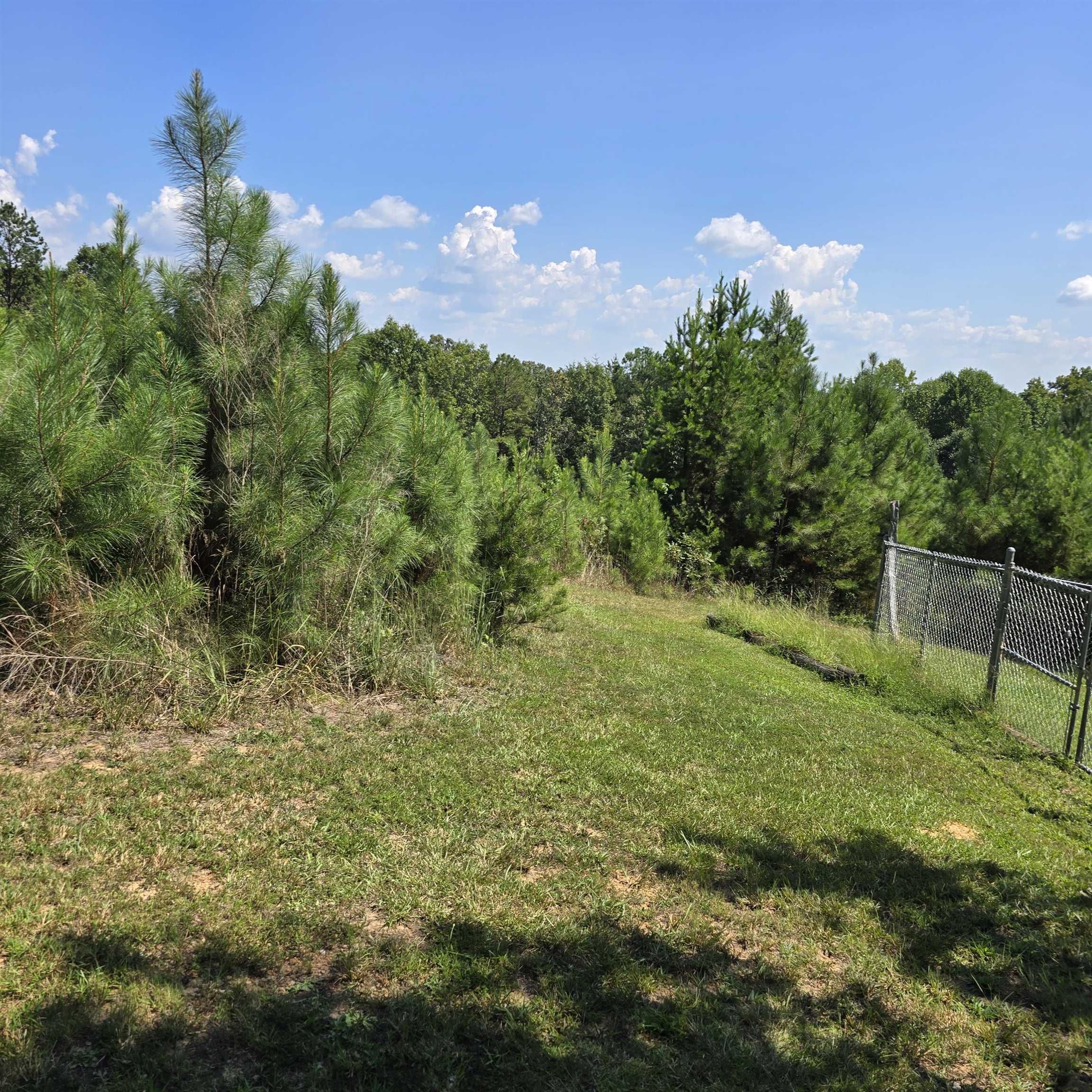 Photo 3 of Land for sale at 0 Helms Rd, Blacksburg, SC 29702 | MLS# SPN341406 | Listing updated on 2026-09-05